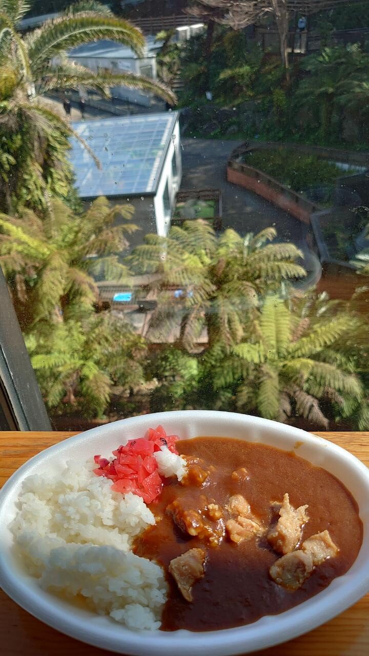 IZOO　ドラゴンランチ　ワニカレー