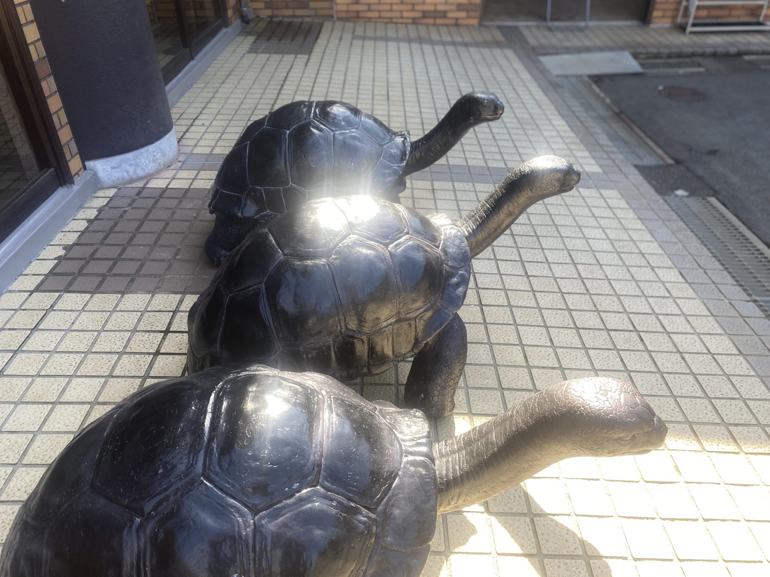 IZOO　ドラゴンランチ