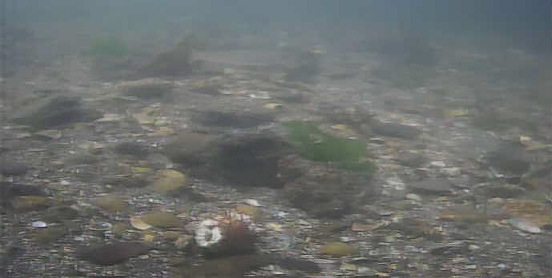 平作川河口　水中映像