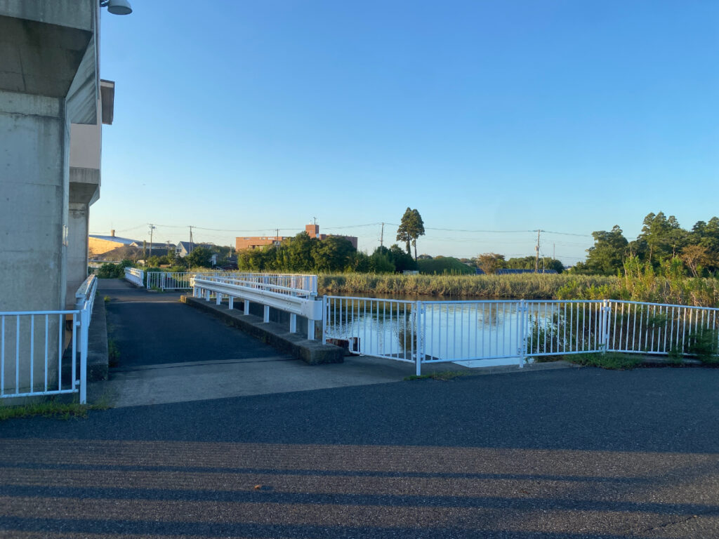 外房　クロダイスポット　南白亀川　内谷川取水堰