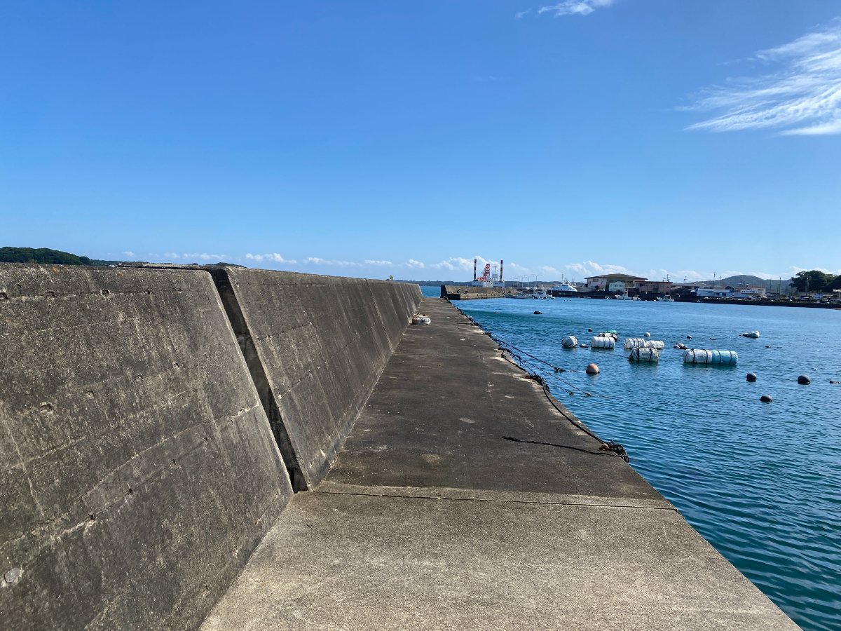 浜島港　釣り