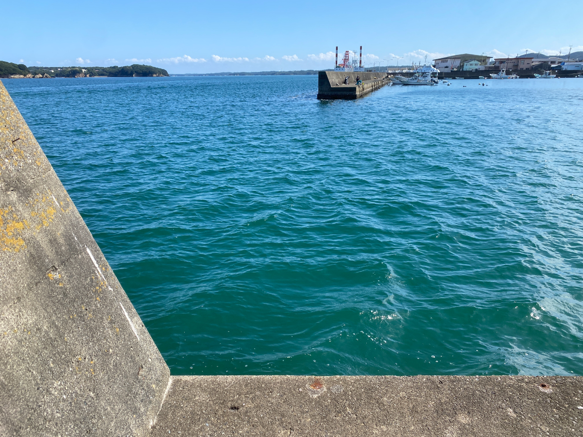 浜島港　釣り