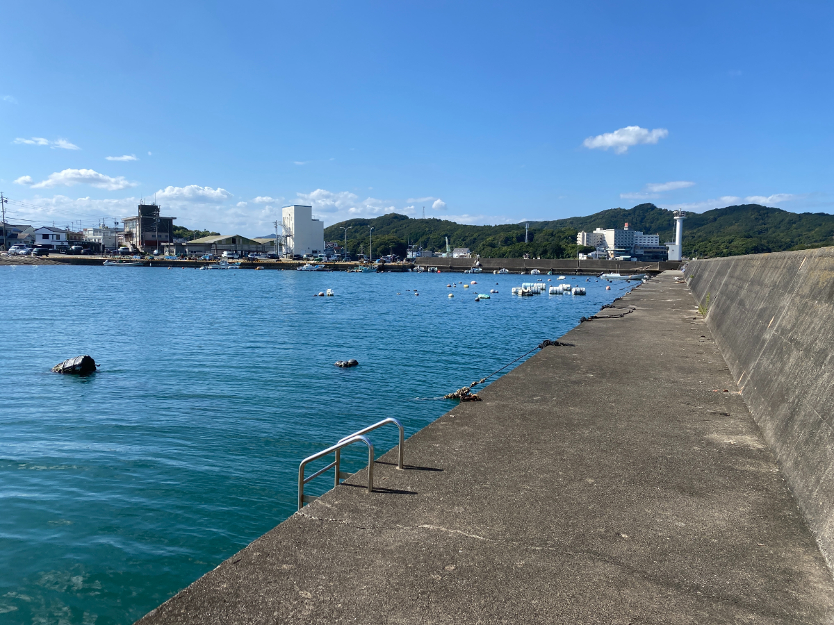 浜島港　釣り