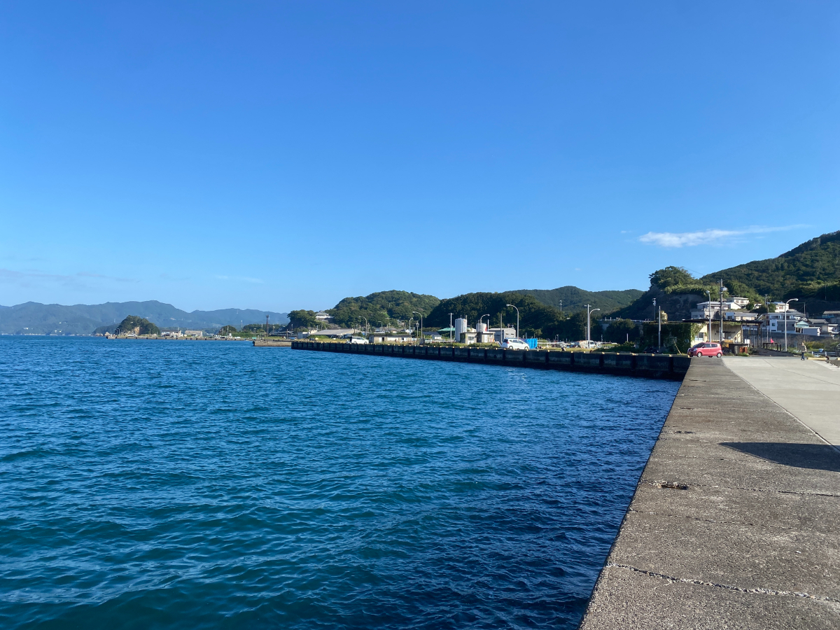 宿田曽漁港　釣り