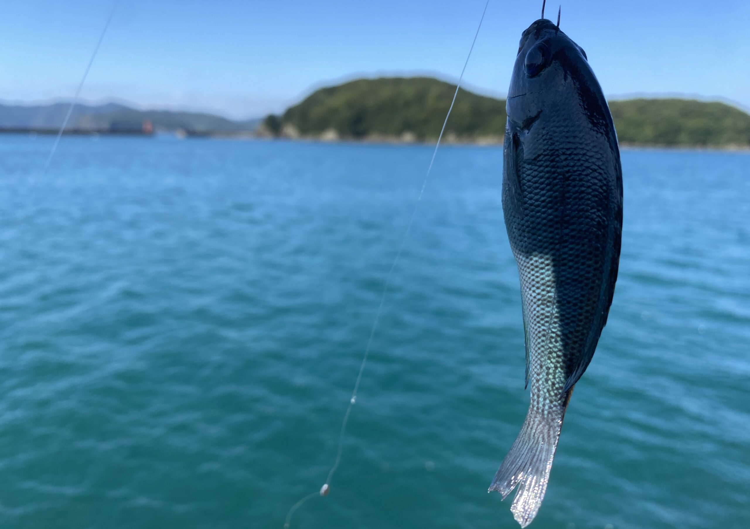 宿田曽漁港　釣り