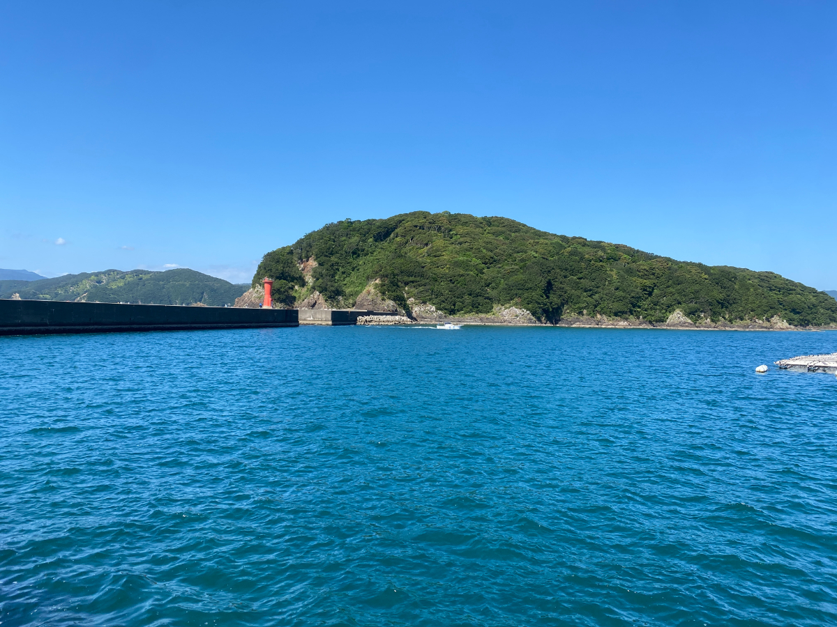 宿田曽漁港　釣り