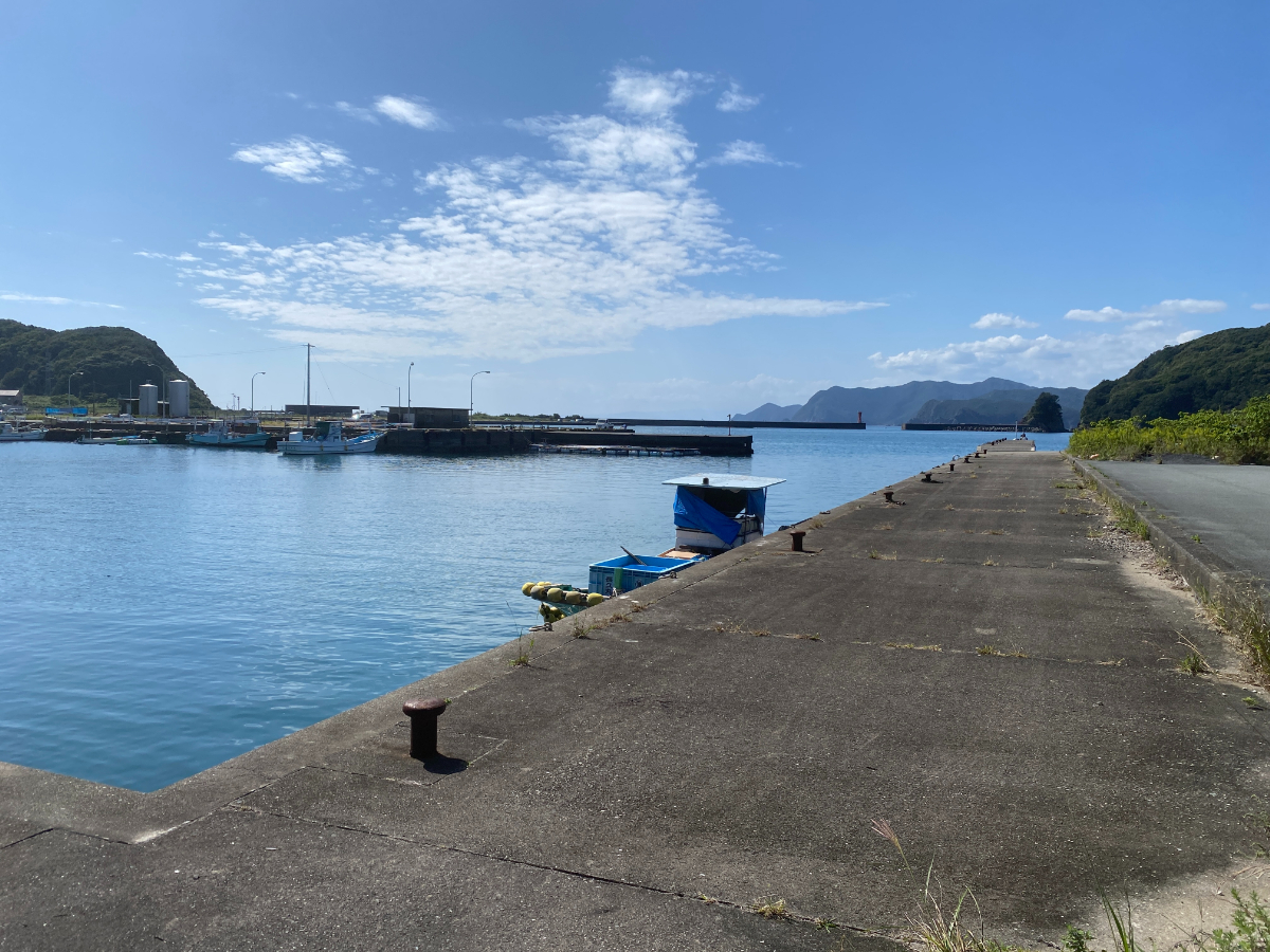 宿田曽漁港　釣り