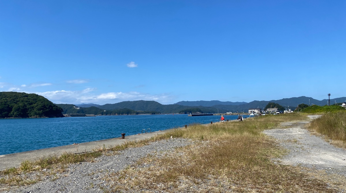 宿田曽漁港　釣り