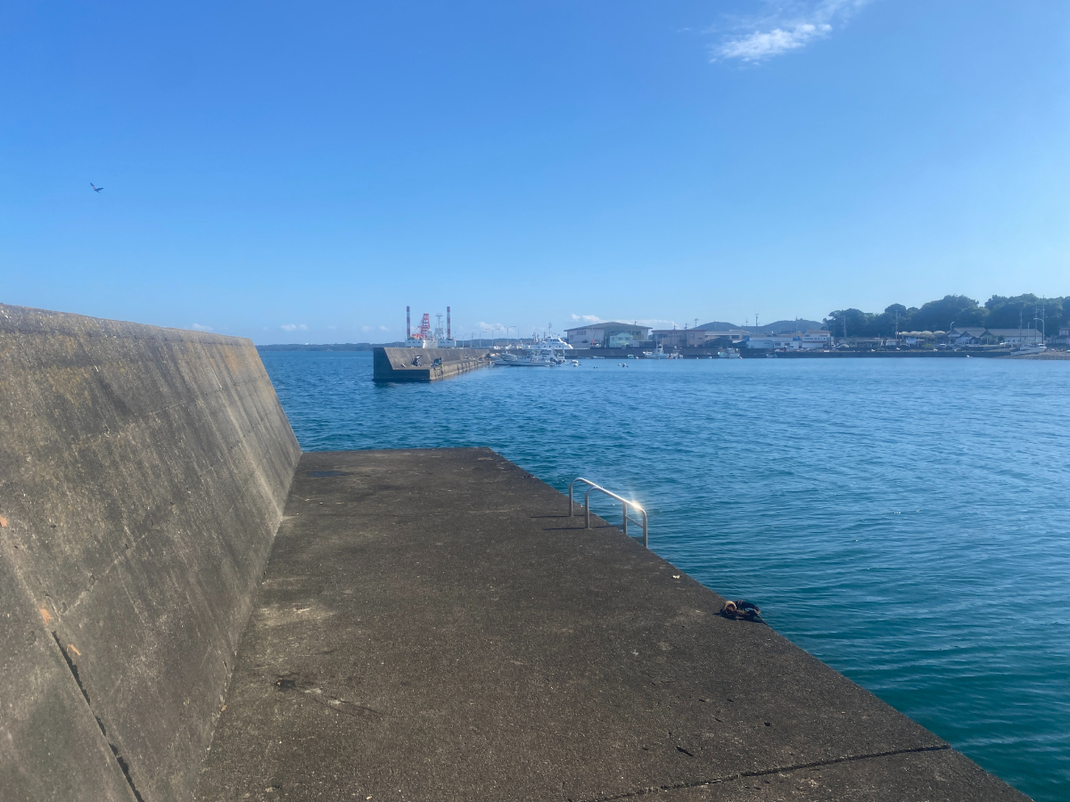 浜島港　釣り