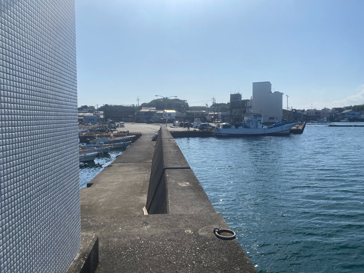 浜島港　釣り