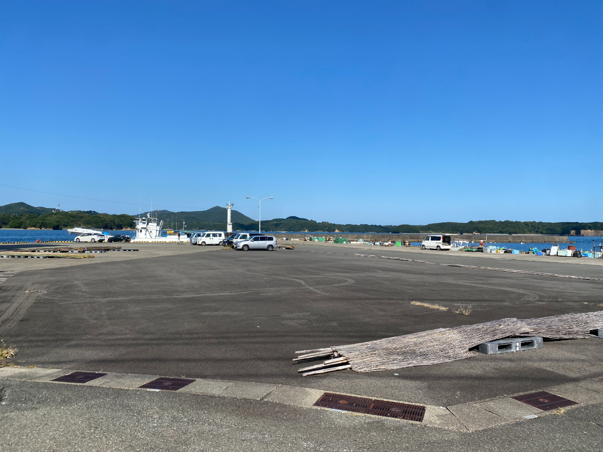 浜島港　釣り
