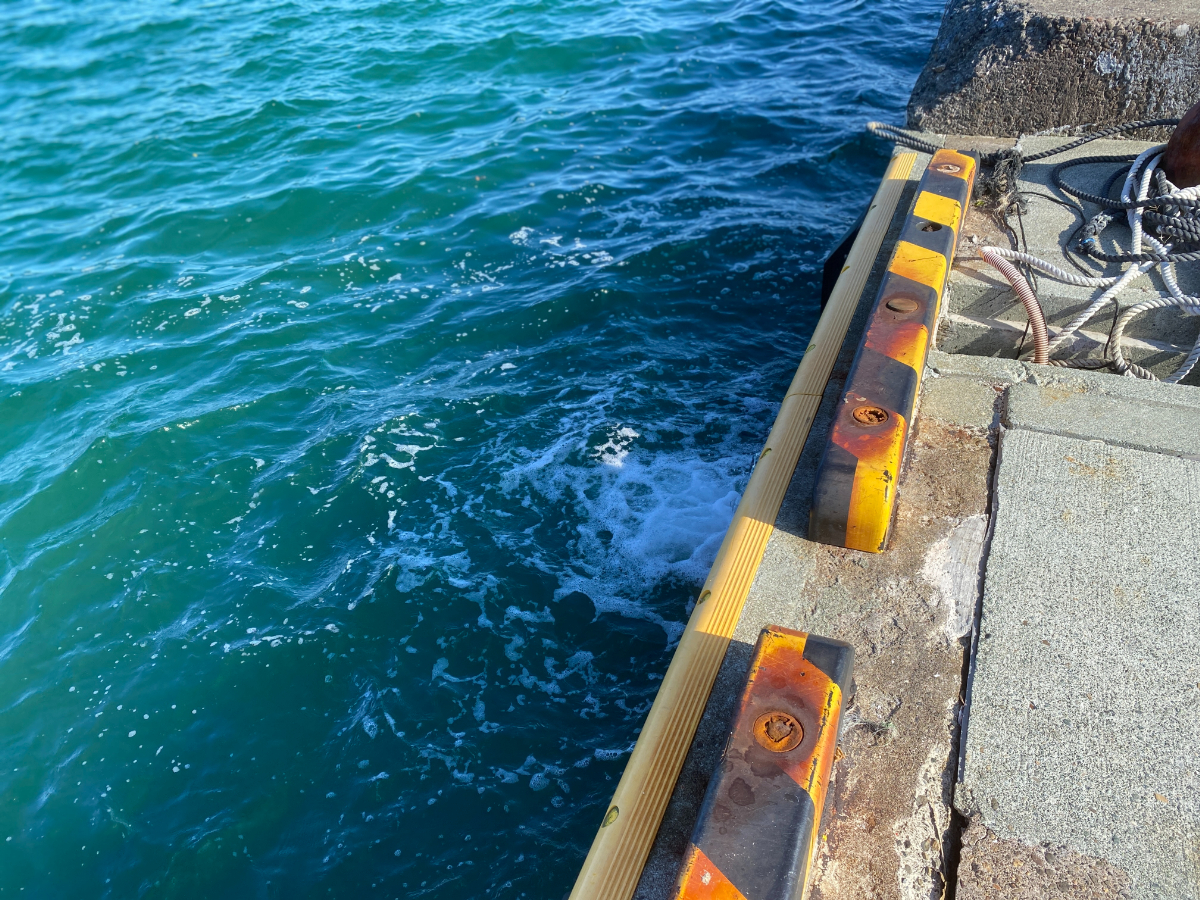 伊勢志摩 B&G海洋センター裏　釣り