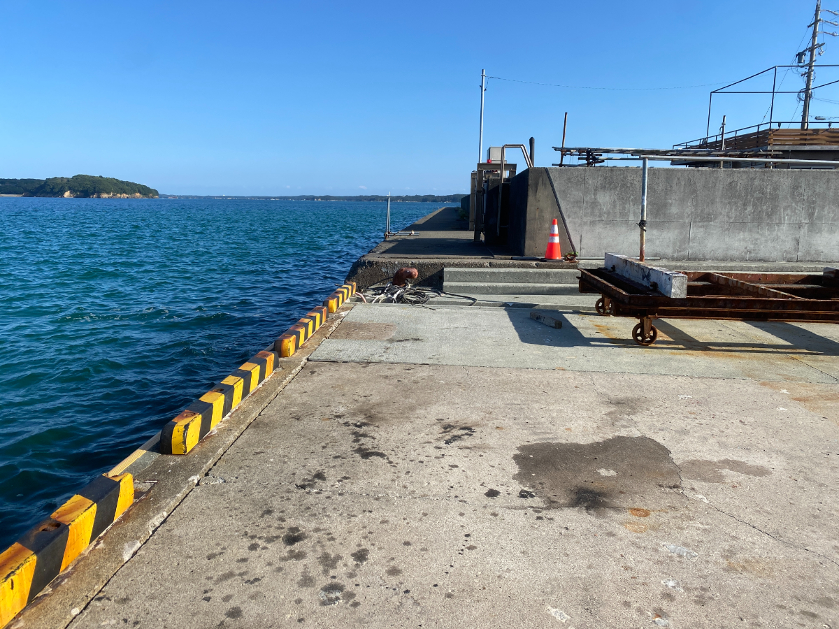 伊勢志摩 B&G海洋センター裏　釣り