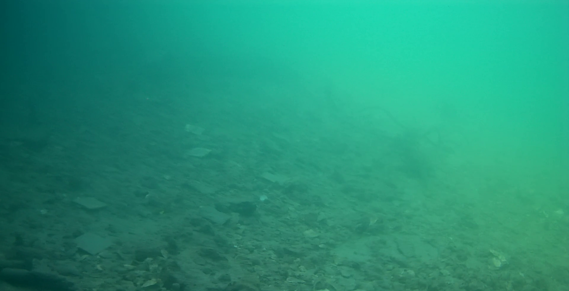 伊勢志摩 B&G海洋センター裏　釣り　水中映像