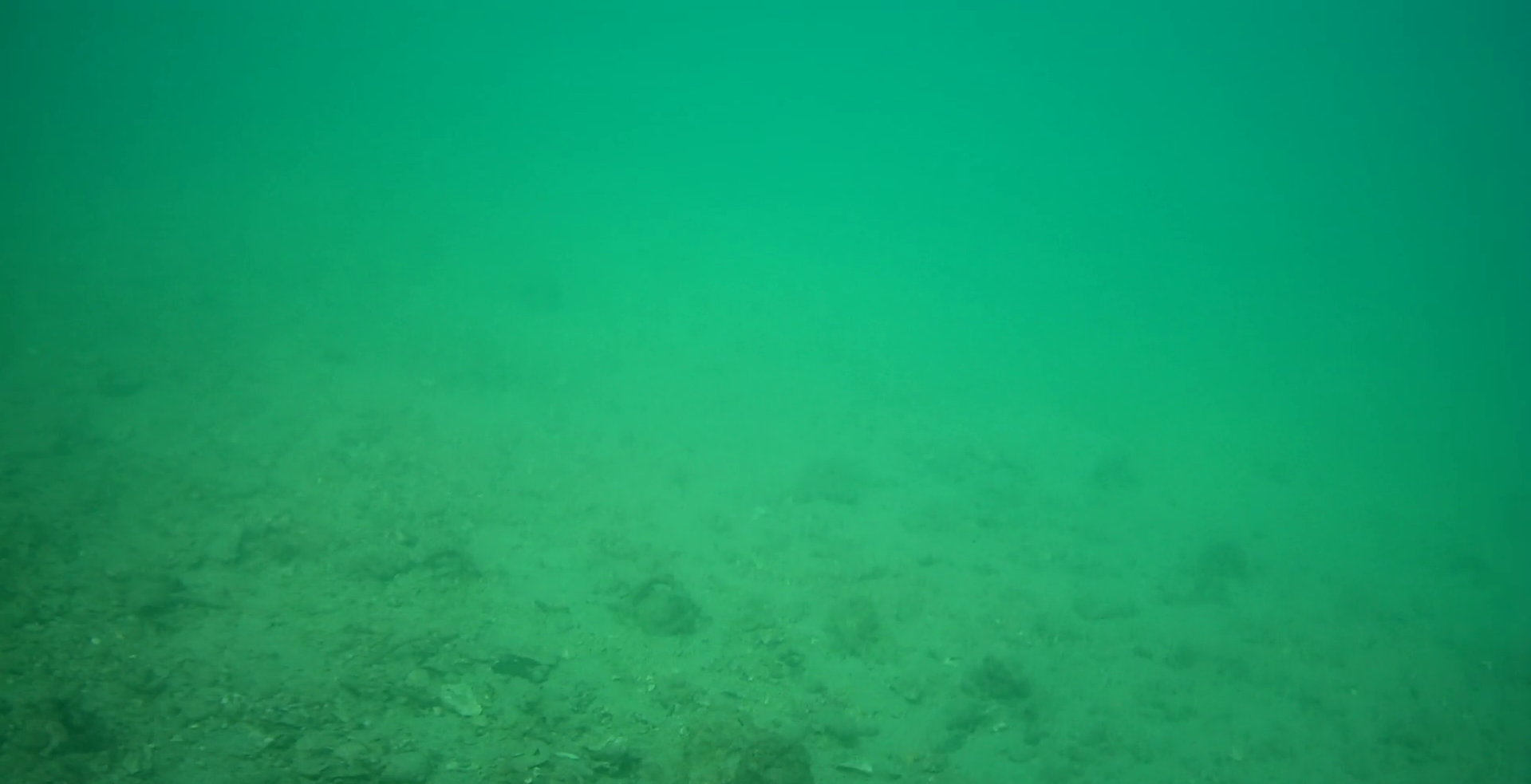 伊勢志摩 B&G海洋センター裏　釣り　水中映像