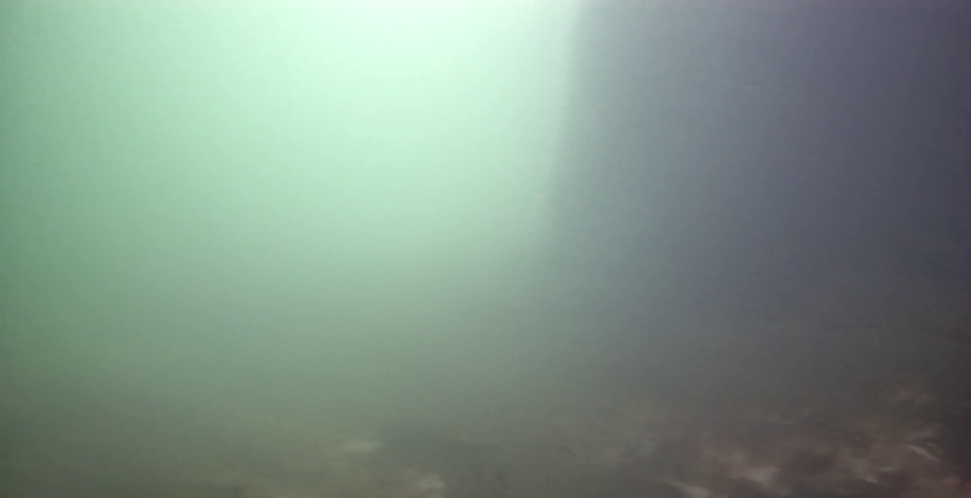 神明漁港　釣り　水中映像