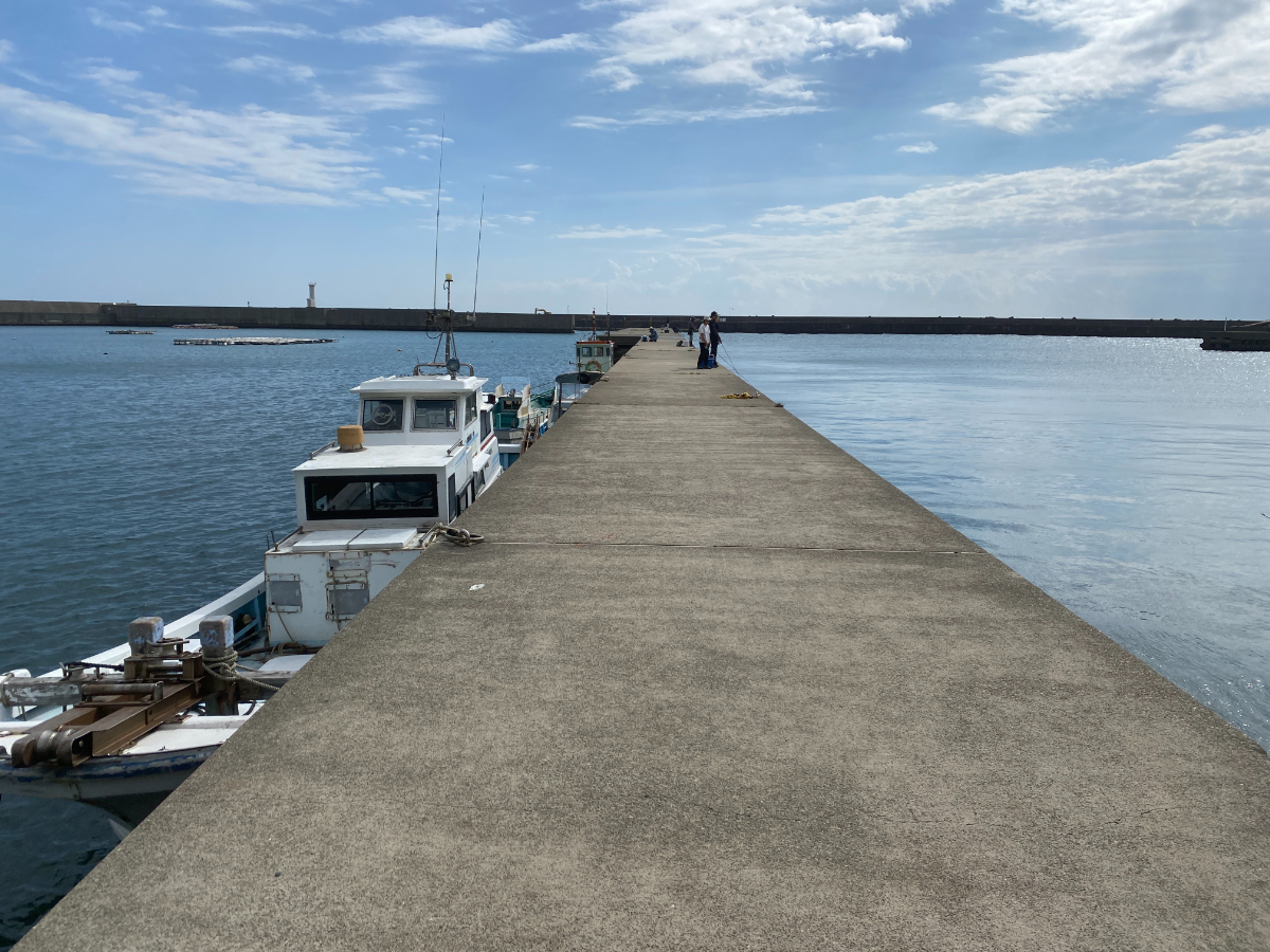 波切漁港　釣り