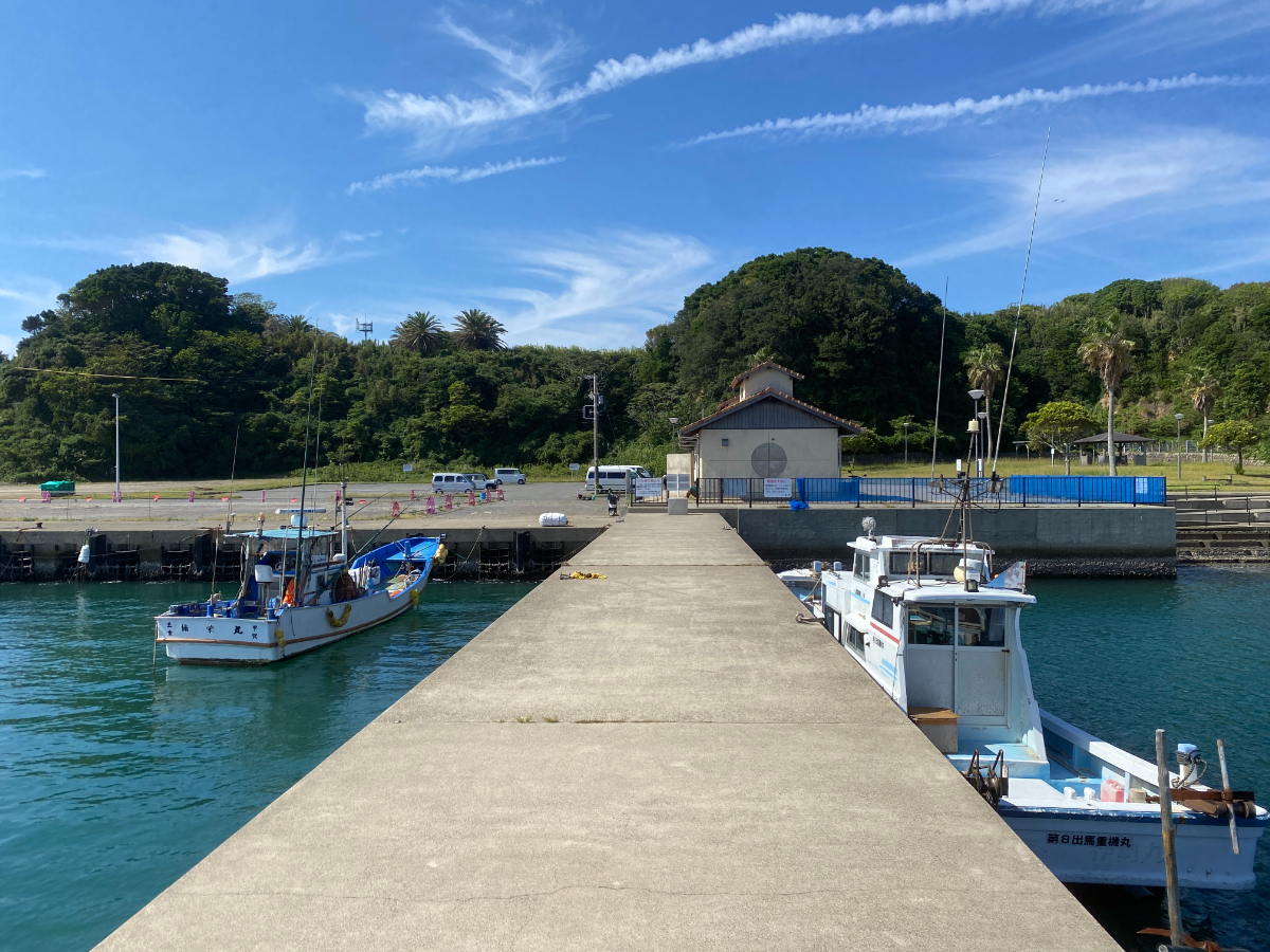 波切漁港　釣り
