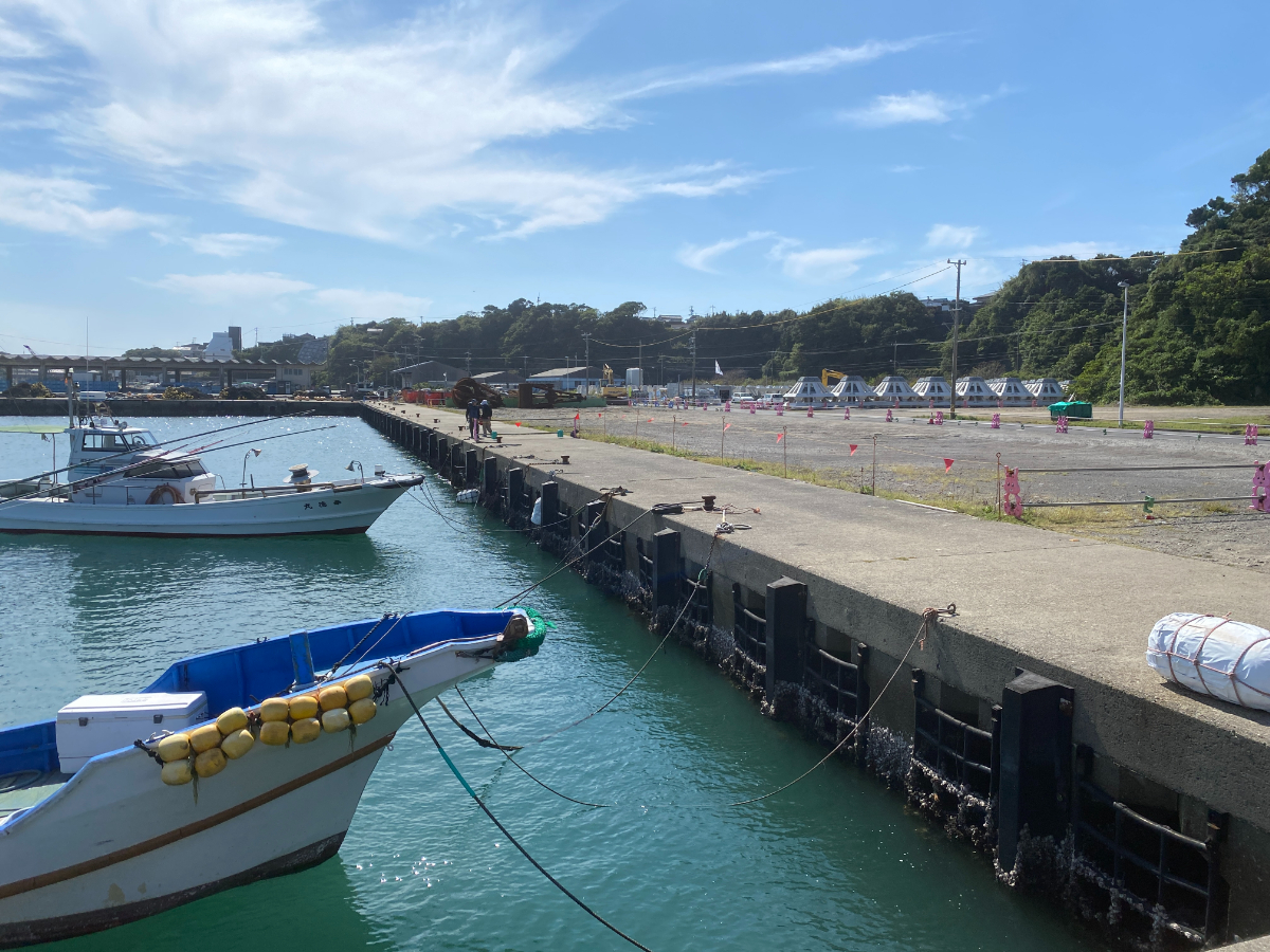 波切漁港　釣り