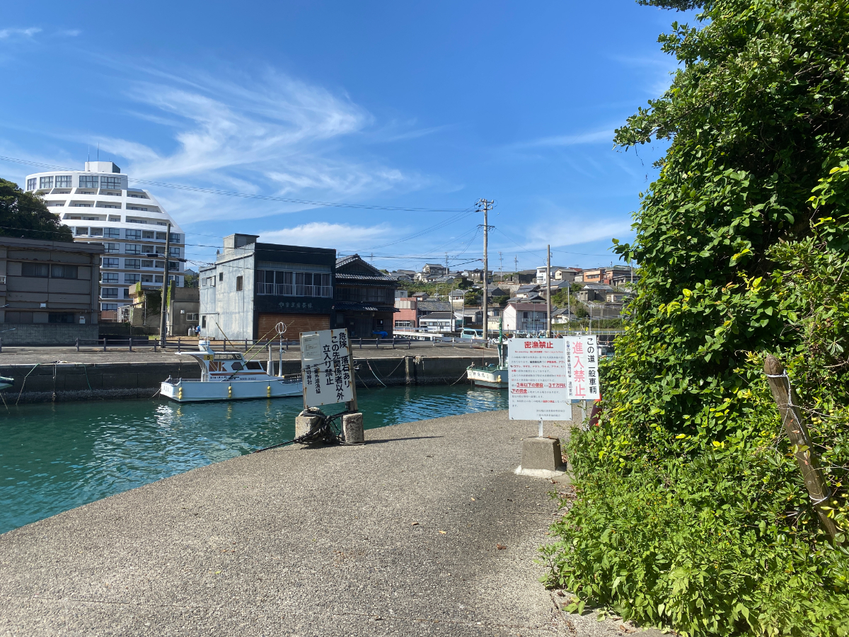 波切漁港　釣り