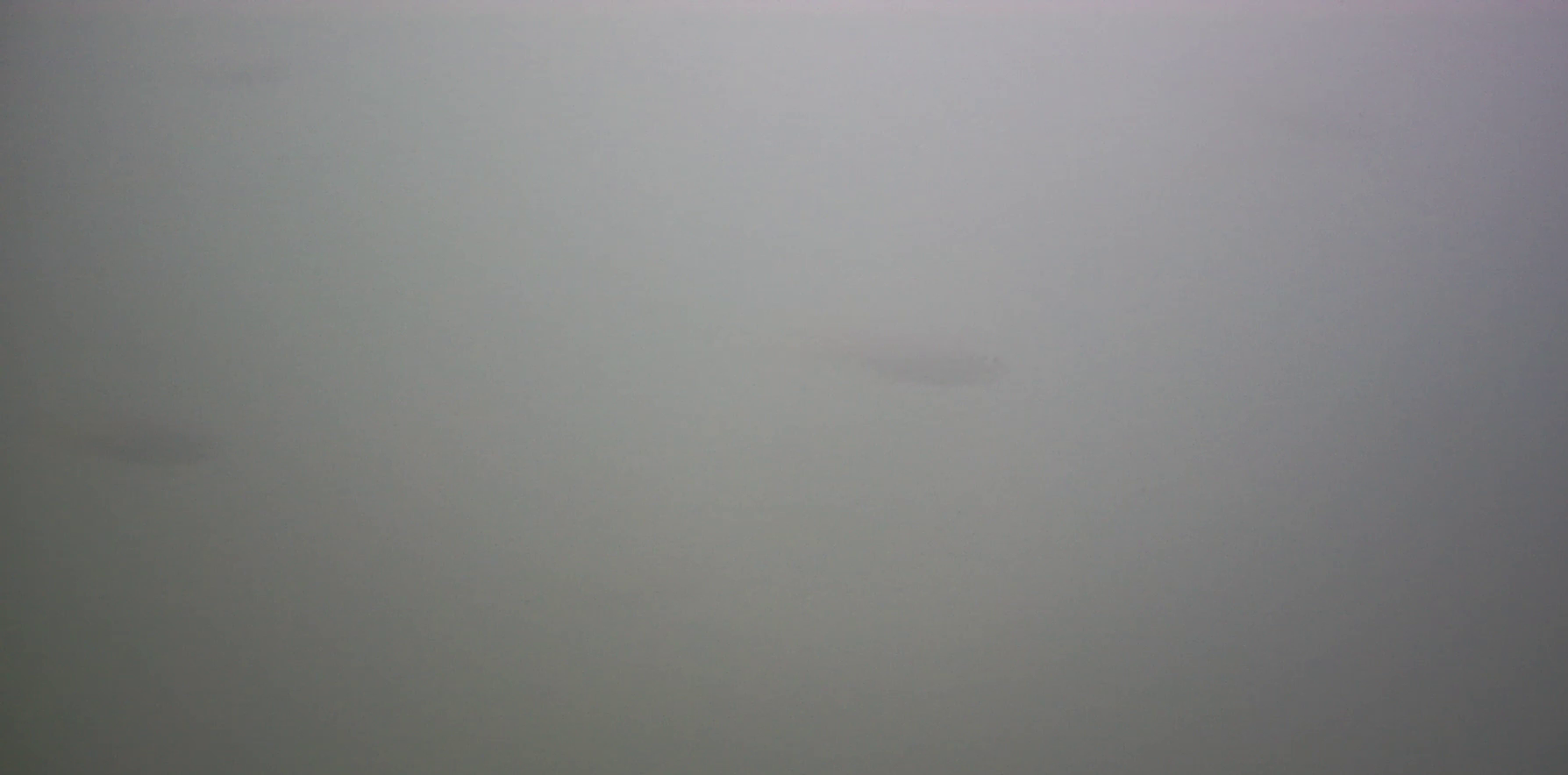 鳥羽フェリー乗り場　釣り　水中映像