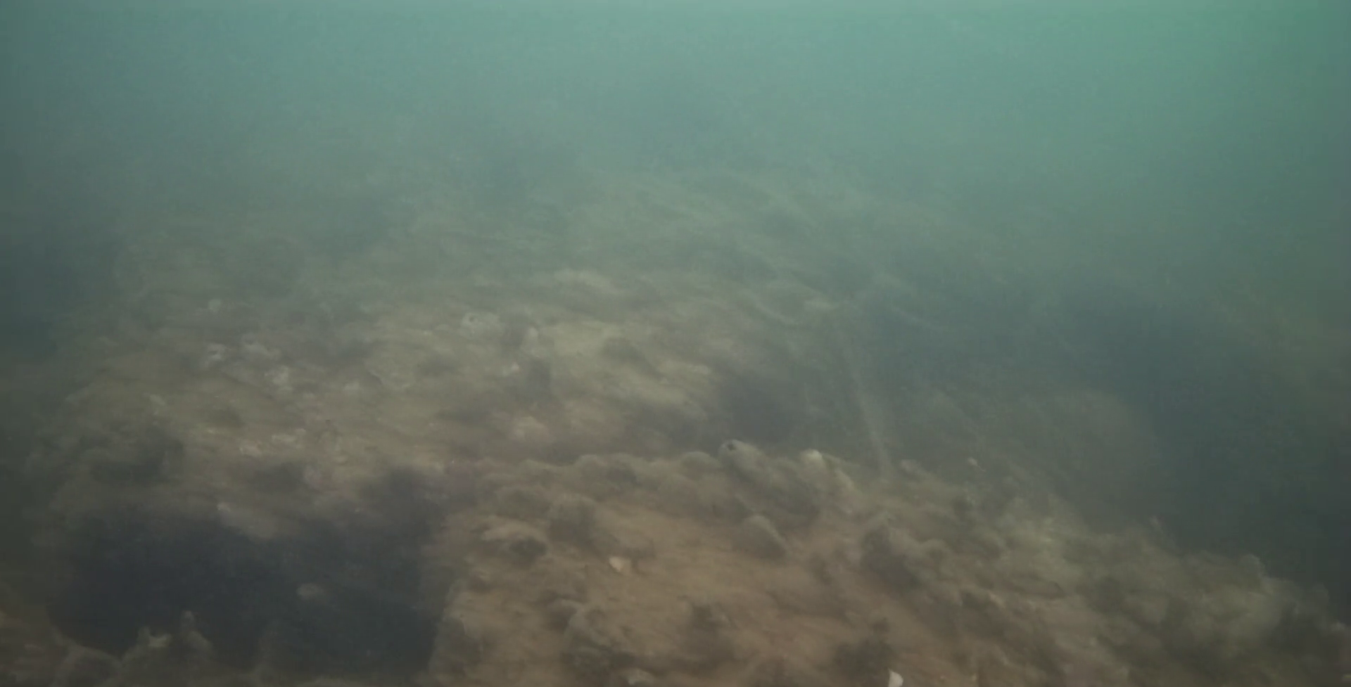 神明漁港 釣り 水中映像