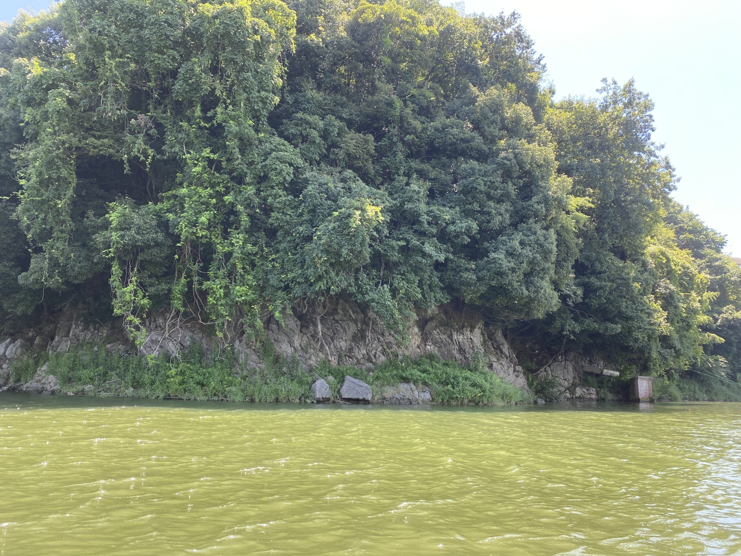 津久井湖　バス釣り　寺下