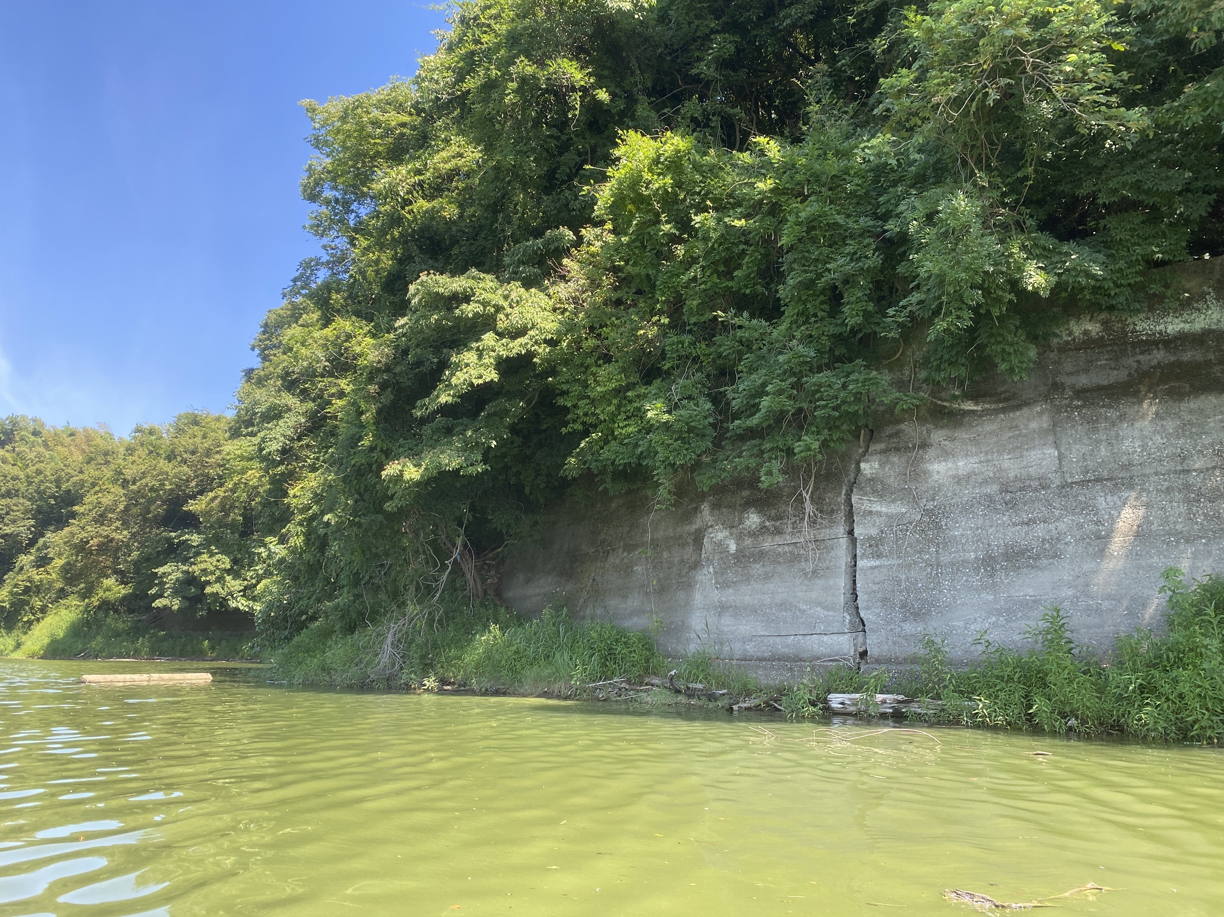 津久井湖　バス釣り　豚小屋下
