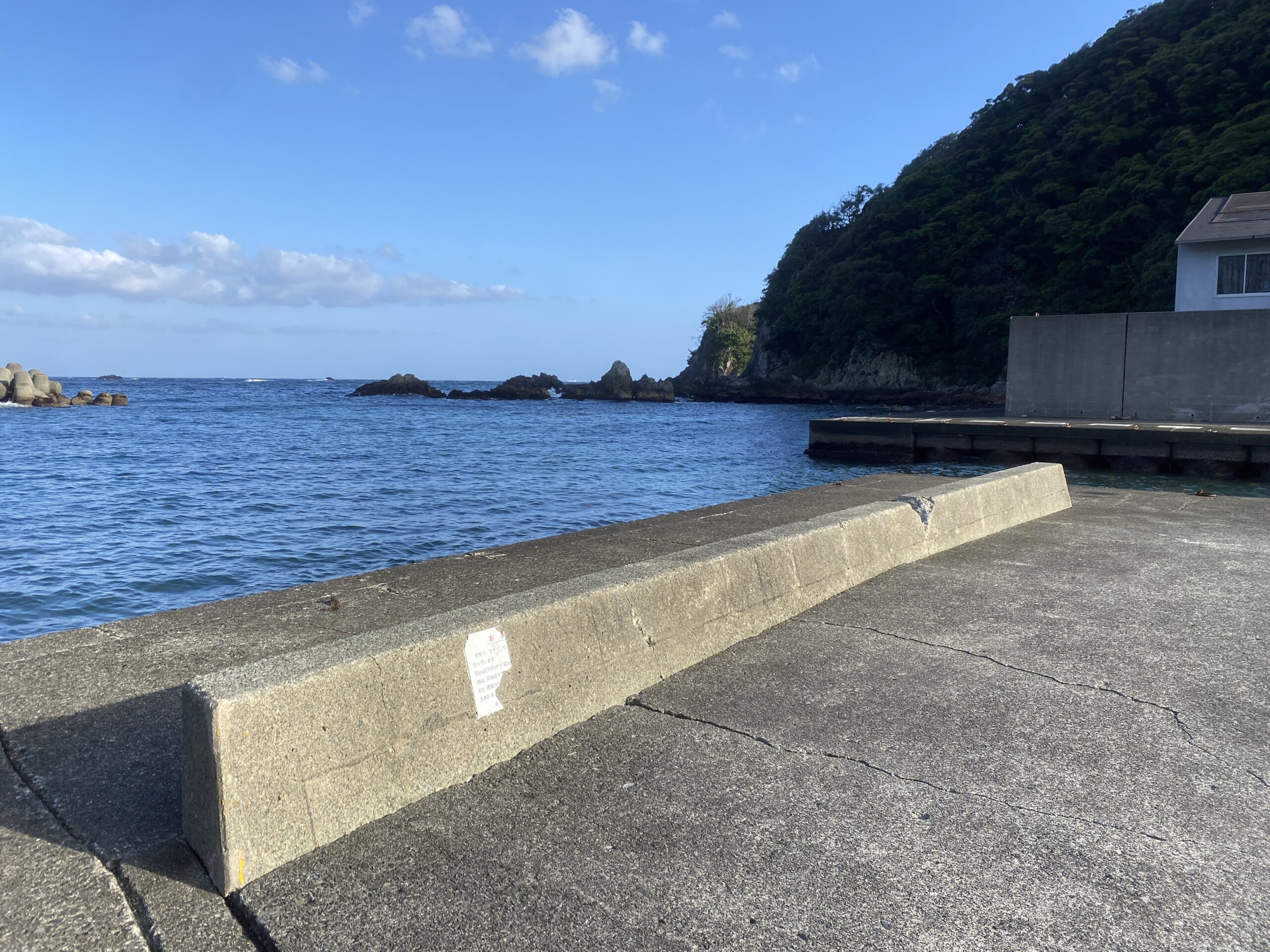 本瀬港　釣り