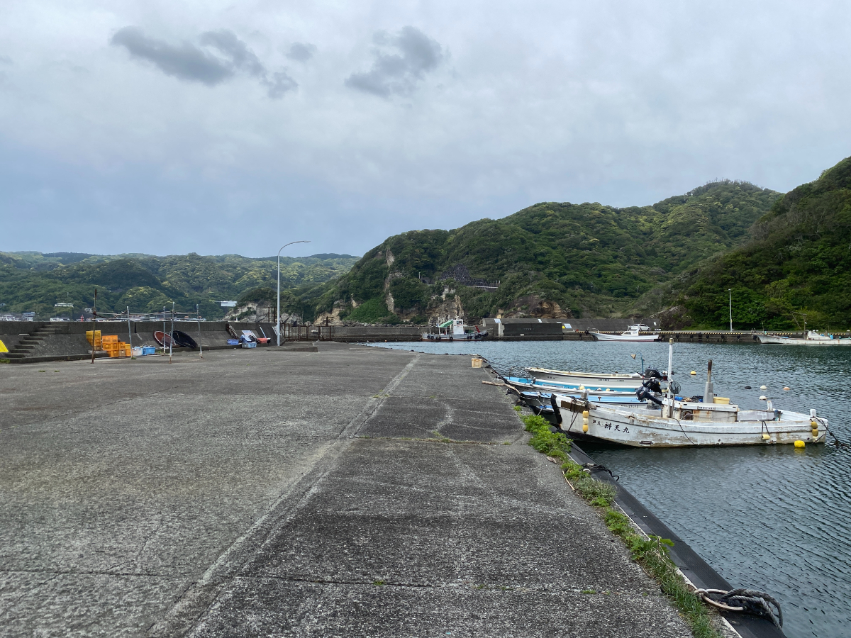 妻良港　釣り
