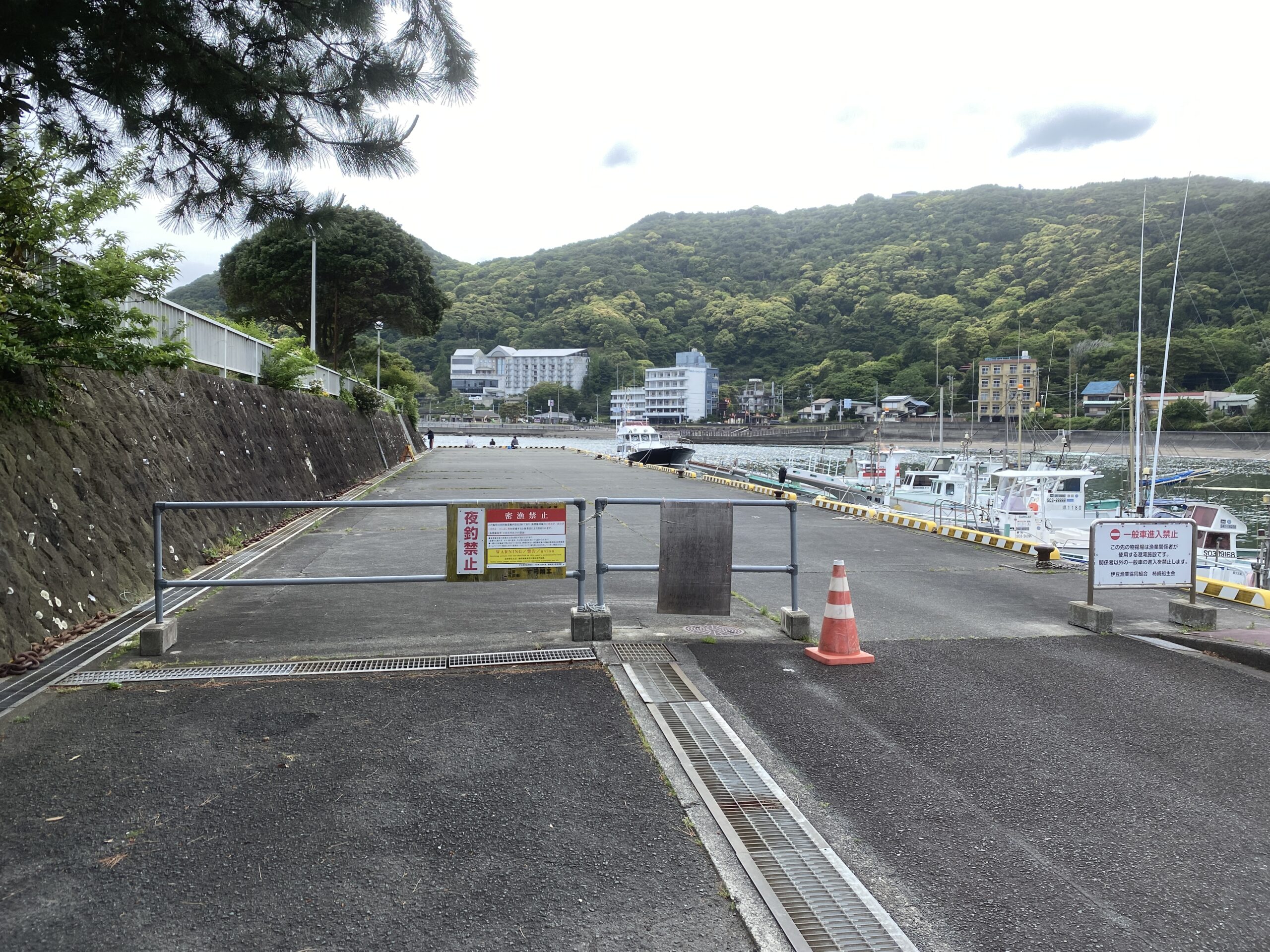 下田港　弁天島公園　釣り