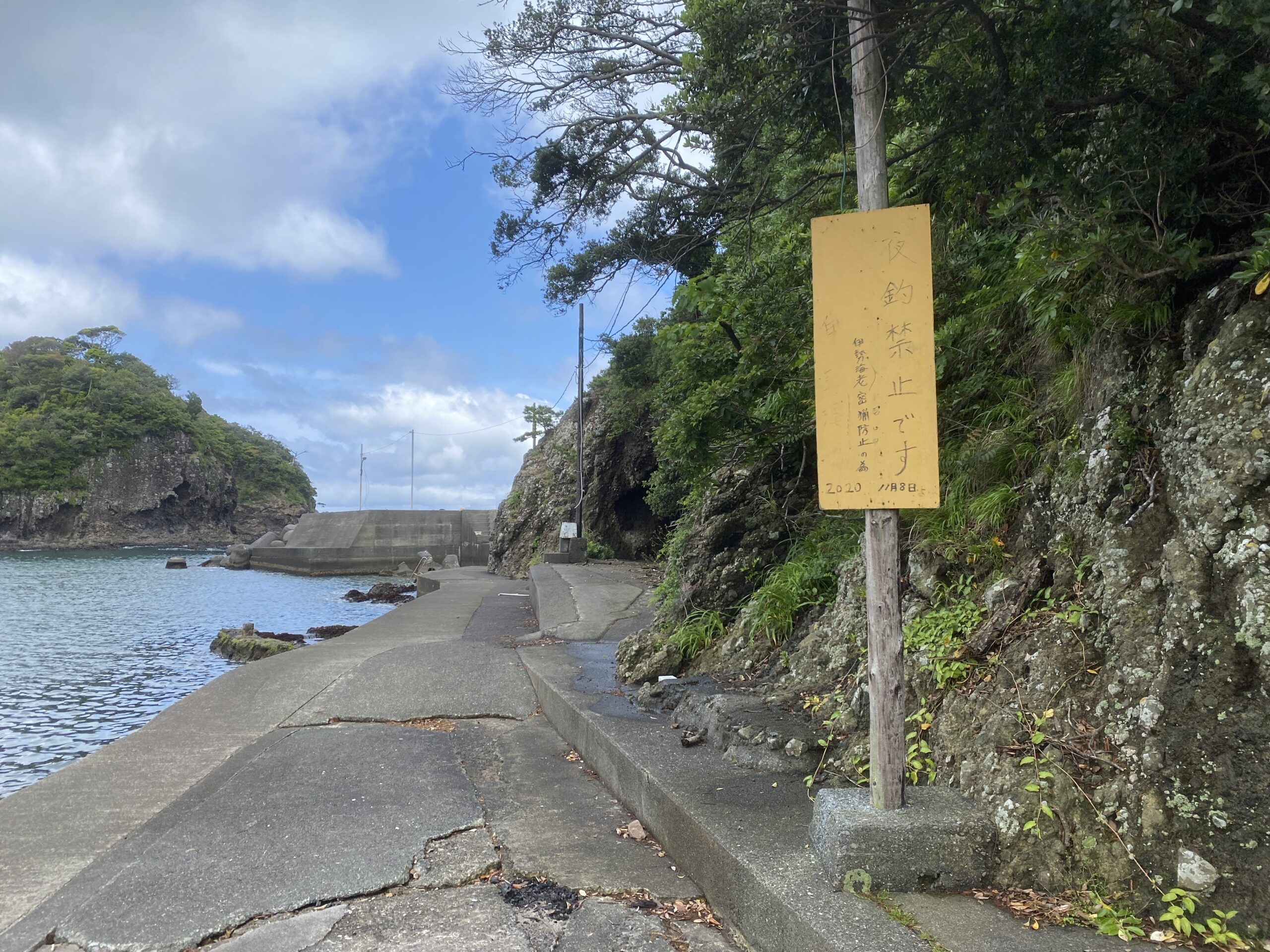 小稲港　釣り　夜釣り禁止