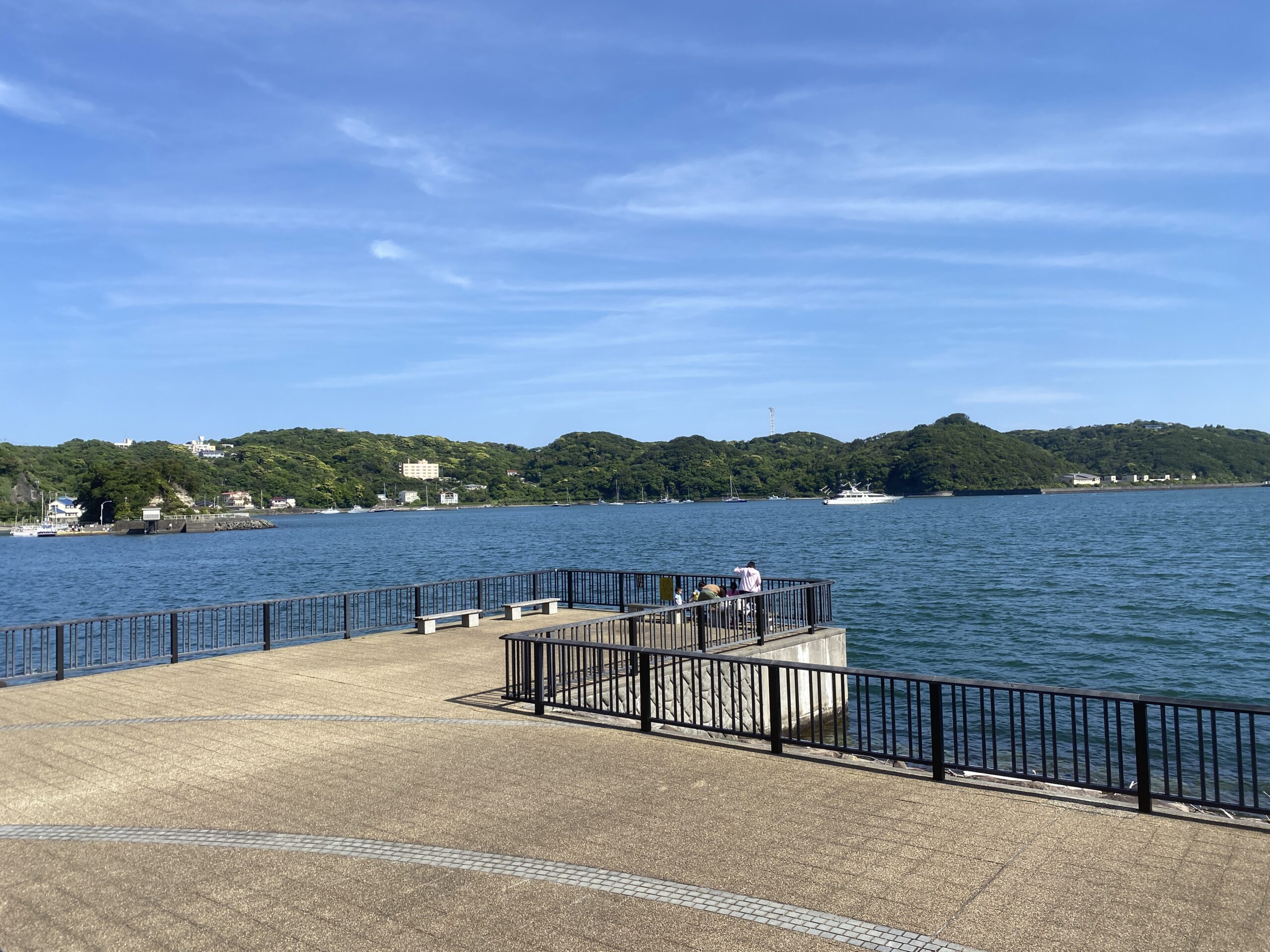 下田 まどが浜海遊公園 釣り