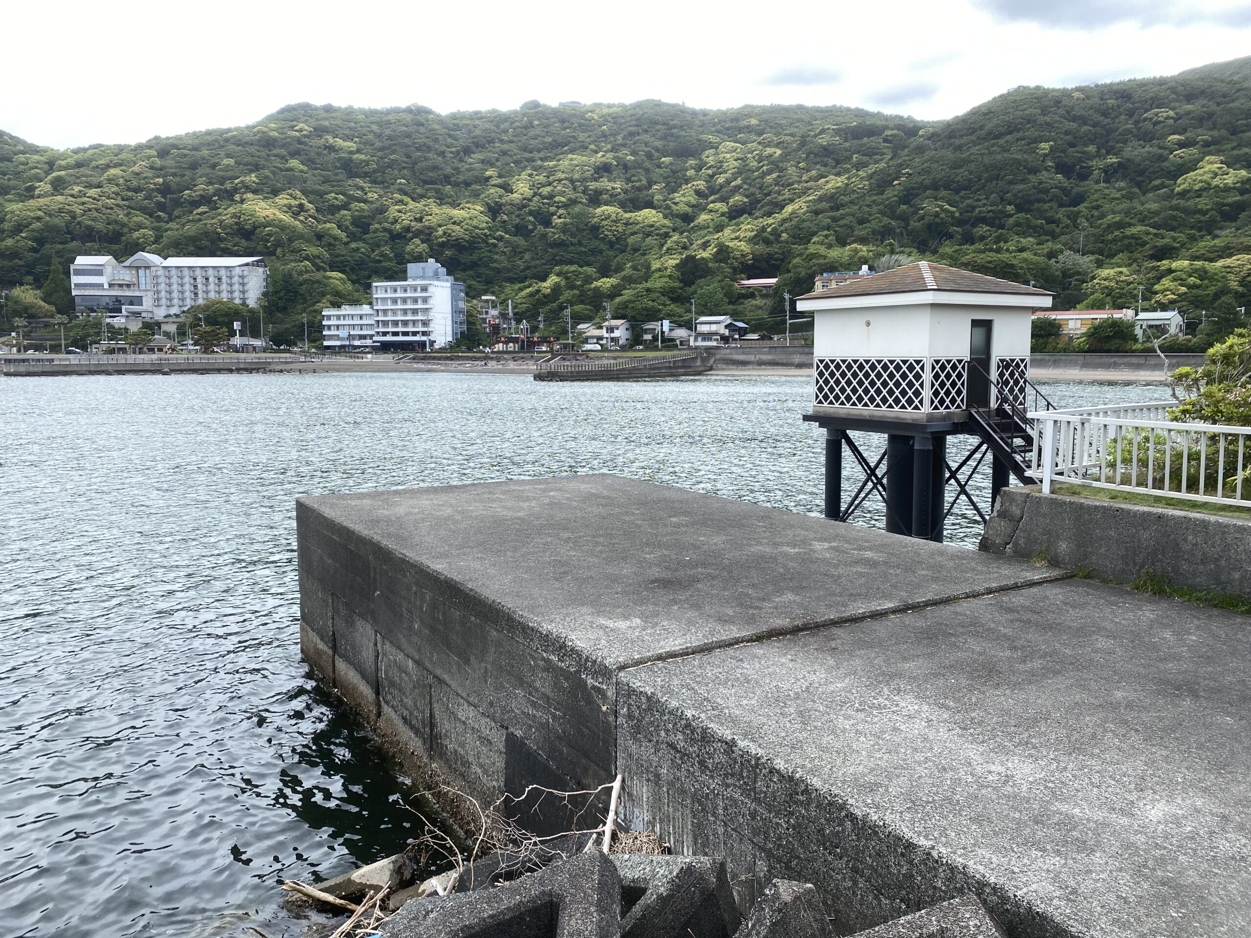 下田港　弁天島公園　釣り