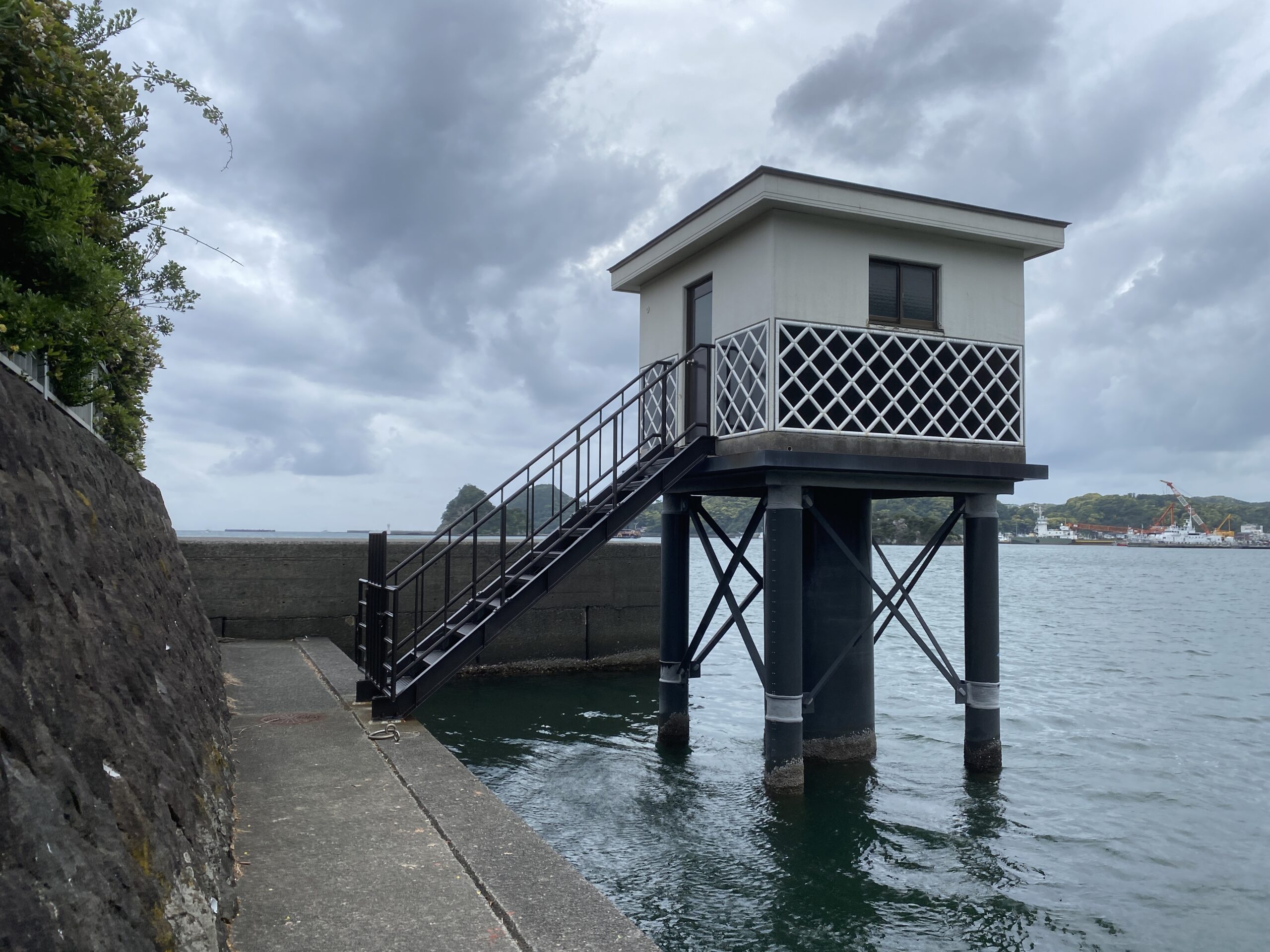 下田港　弁天島公園　釣り