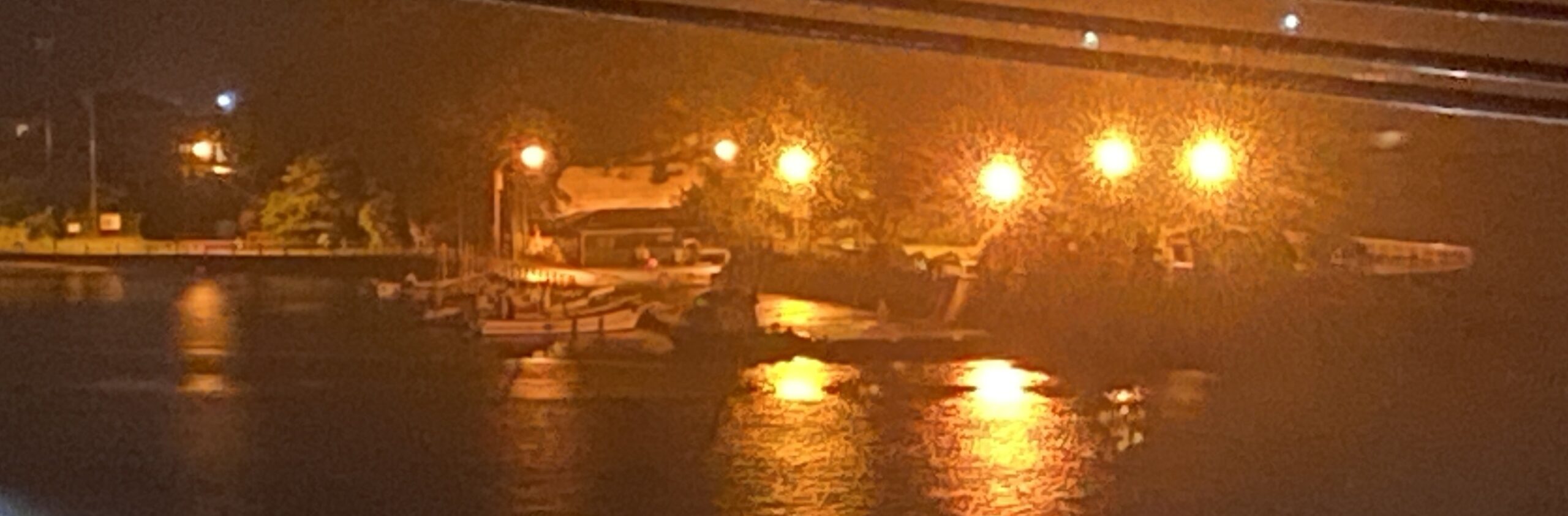 下田港　弁天島公園　釣り