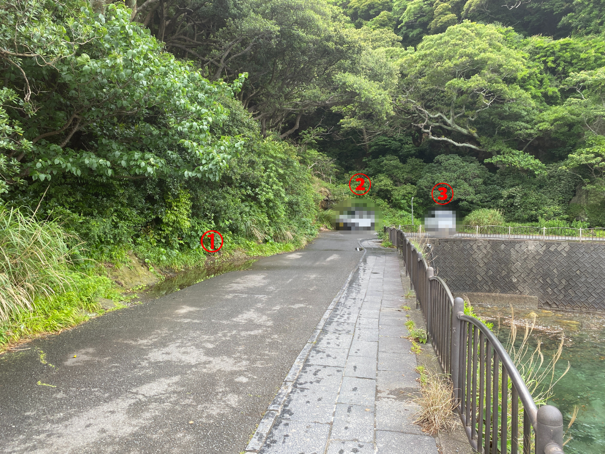 下田 雁島 釣り 駐車スペース