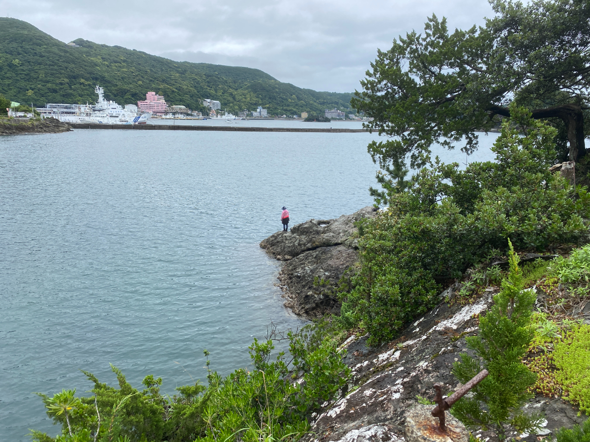 下田 雁島 釣り