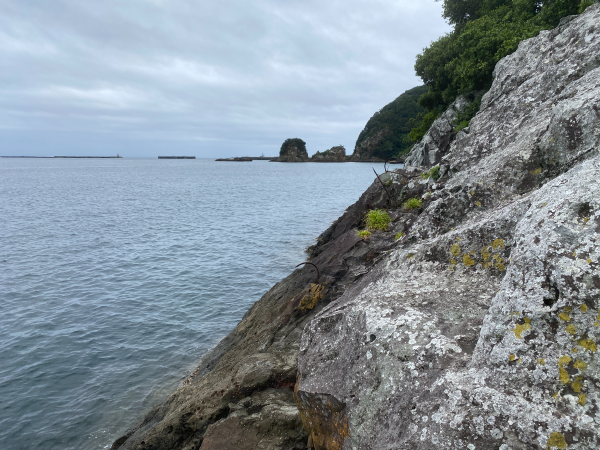 下田 雁島 釣り