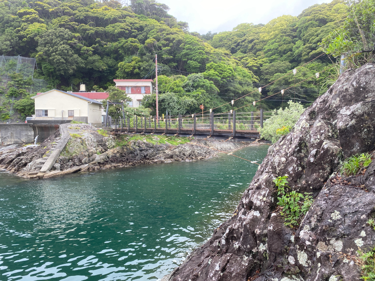 下田 雁島 釣り