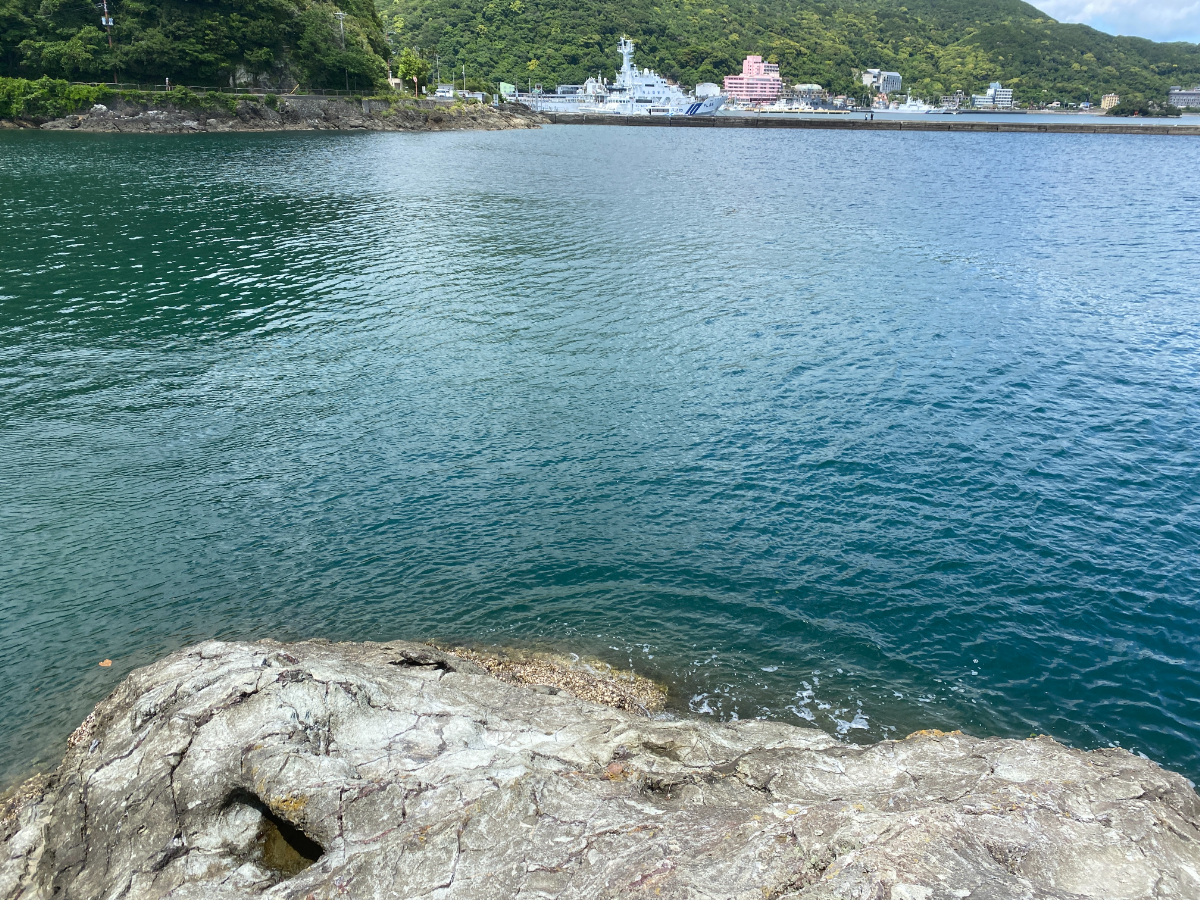 下田 雁島 釣り