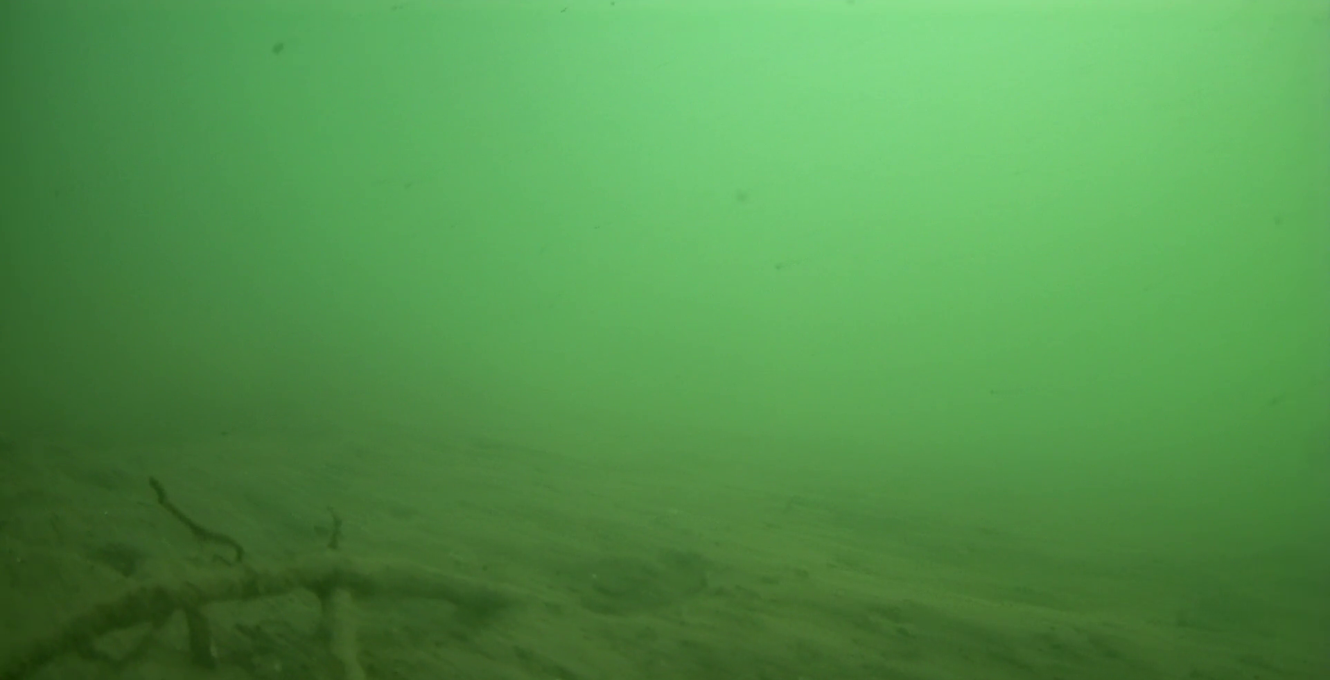 下田 まどが浜海遊公園 釣り 水中映像