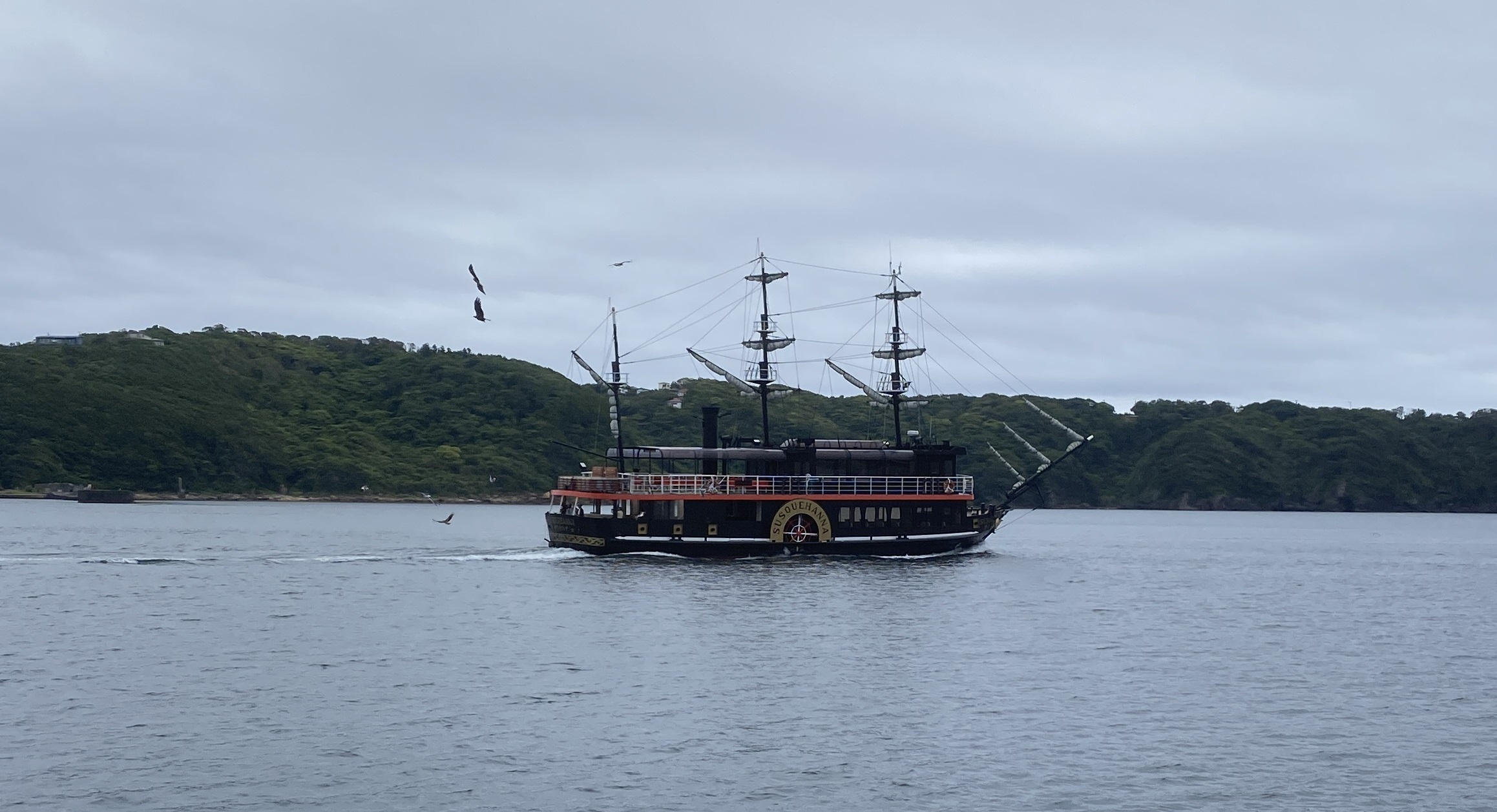 下田 雁島 釣り