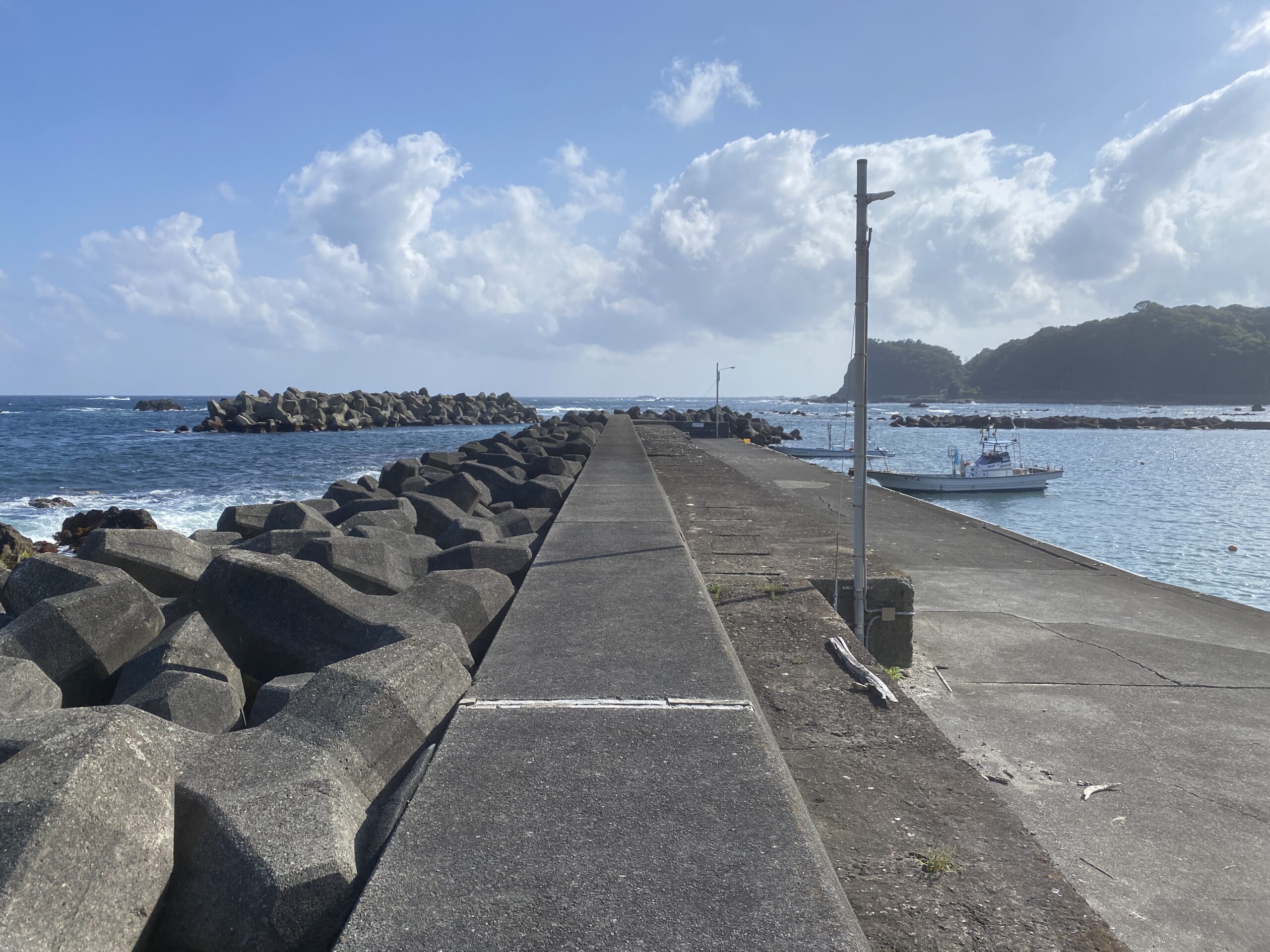下流漁港　釣り