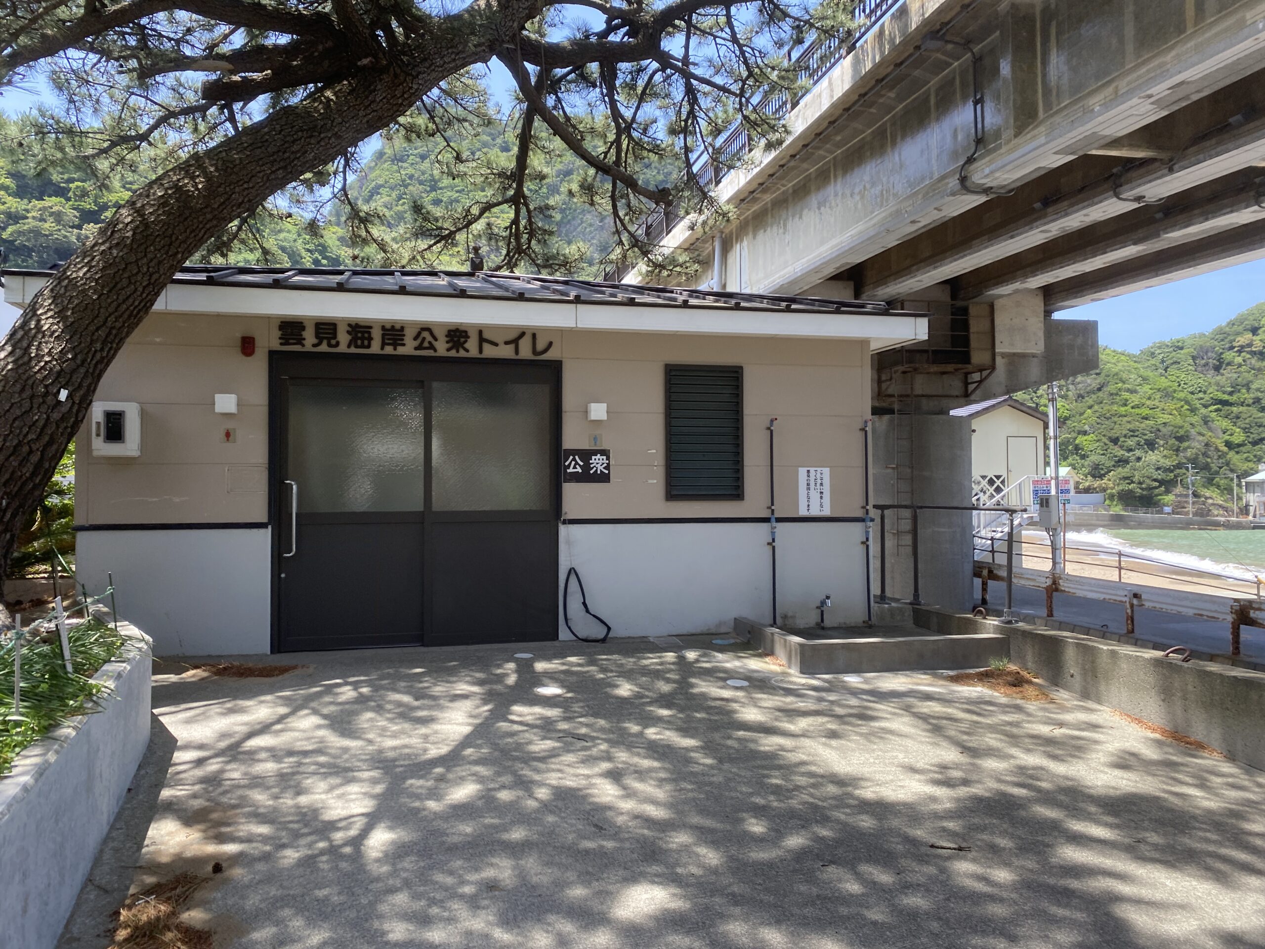雲見漁港　釣り　トイレ