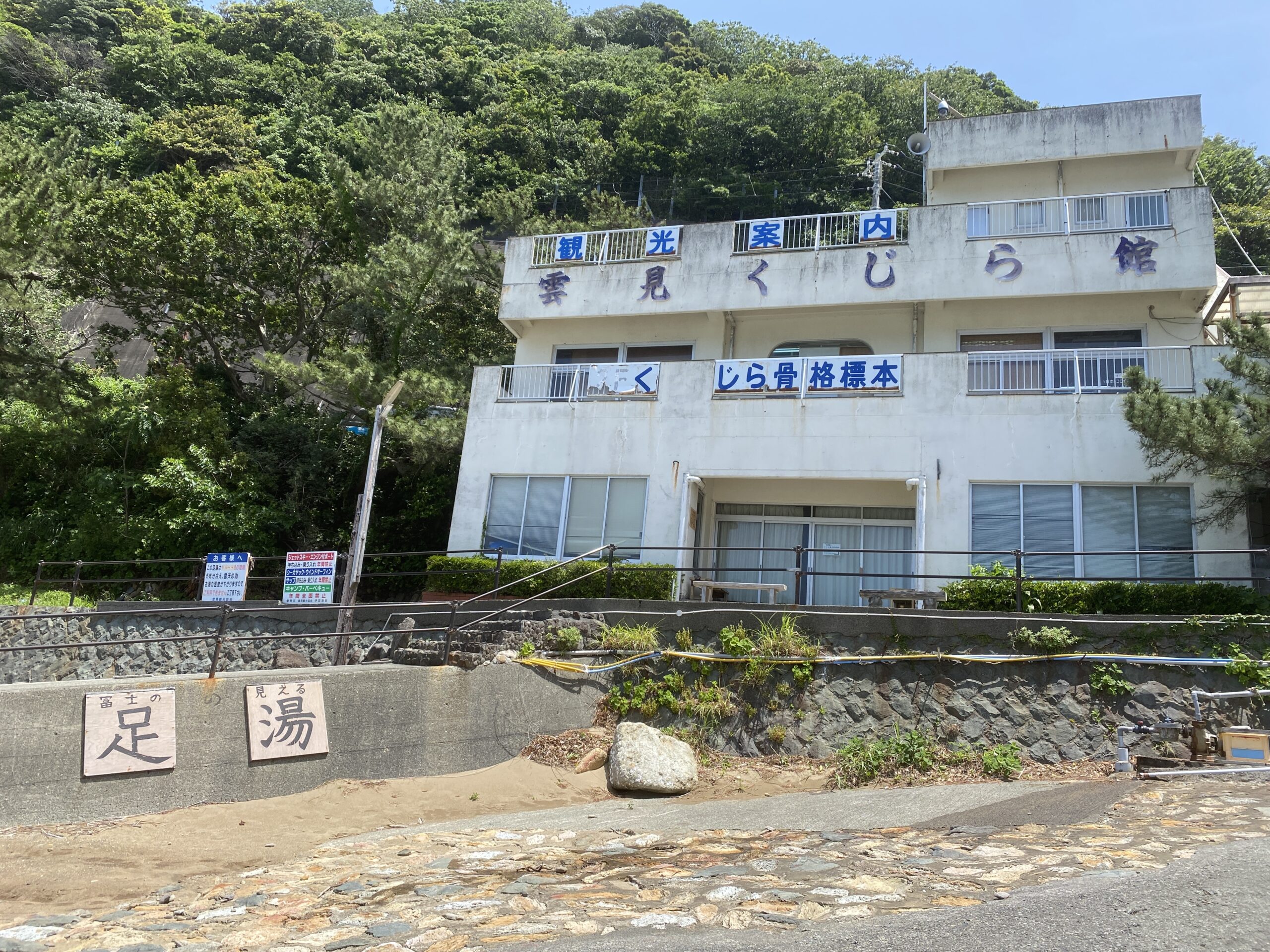 雲見漁港　釣り