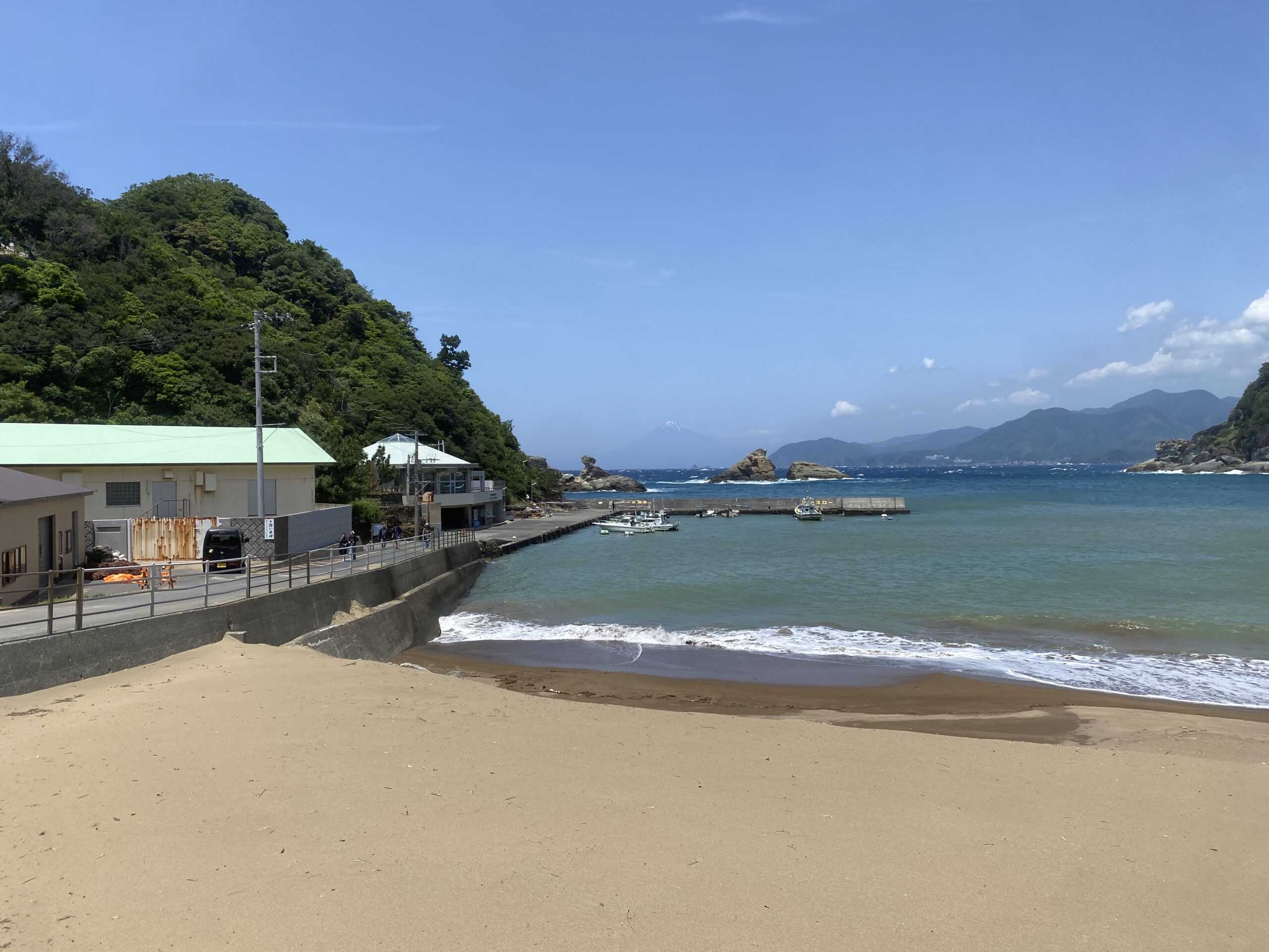 雲見漁港　釣り