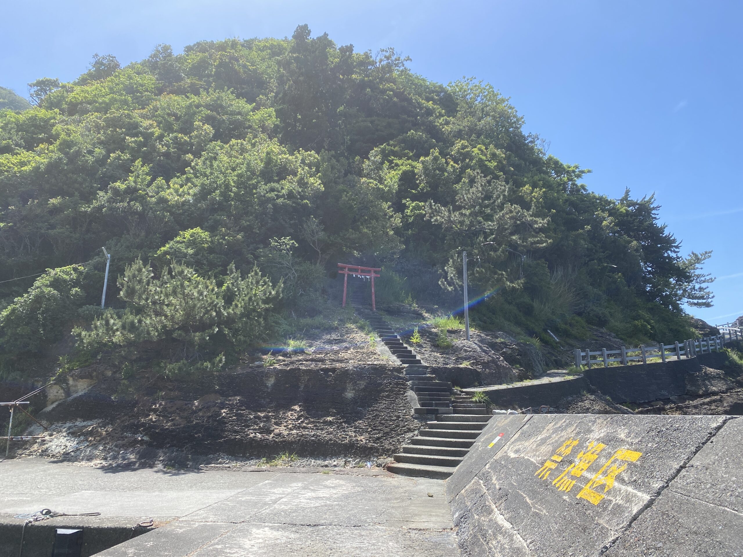 雲見漁港　釣り