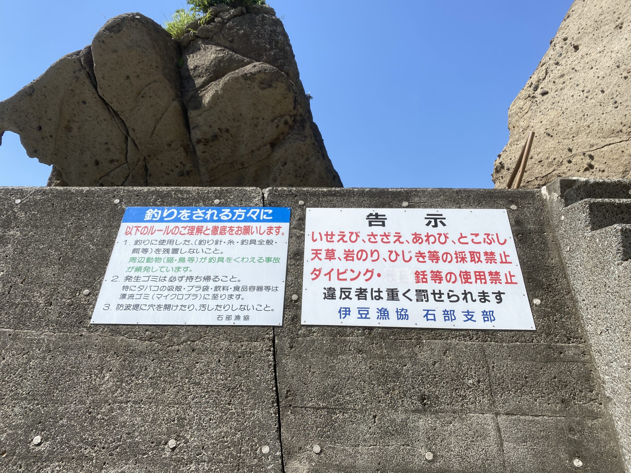 石部漁港　釣り