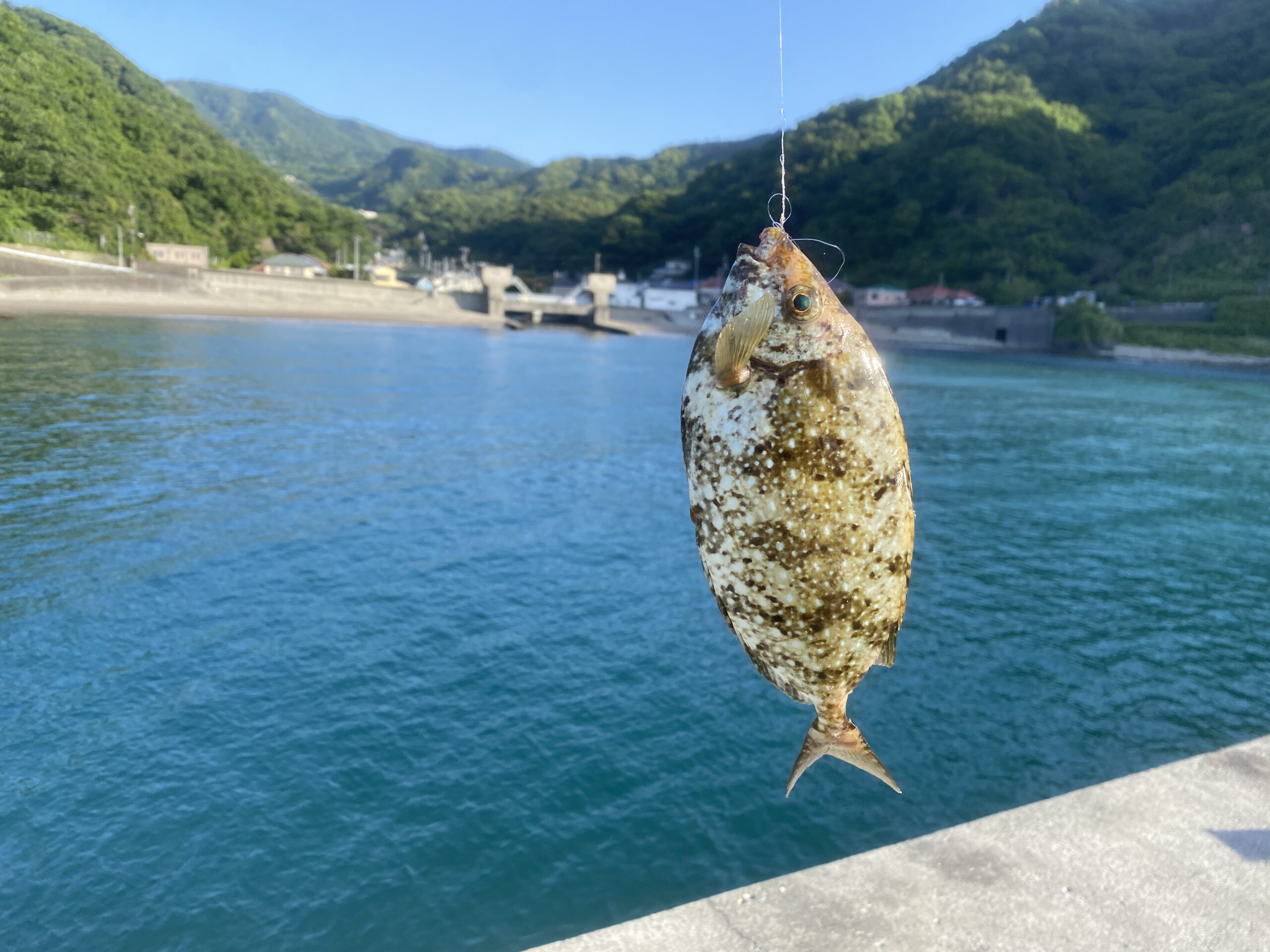 石部漁港　釣り
